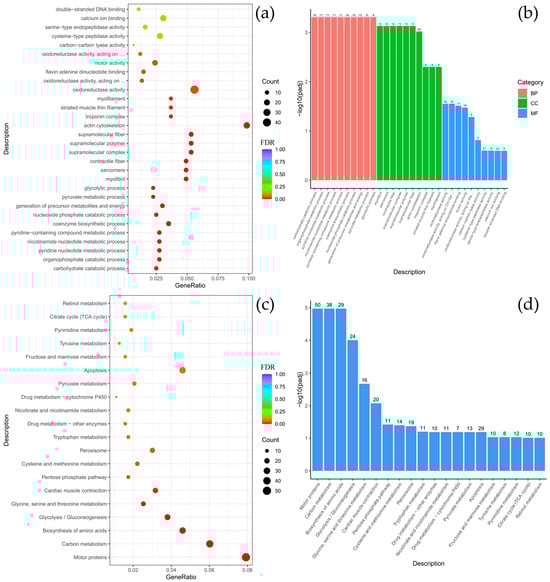 Biology 14 01762 g0a5