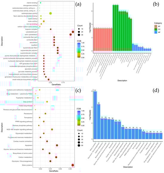 Biology 14 01762 g0a6