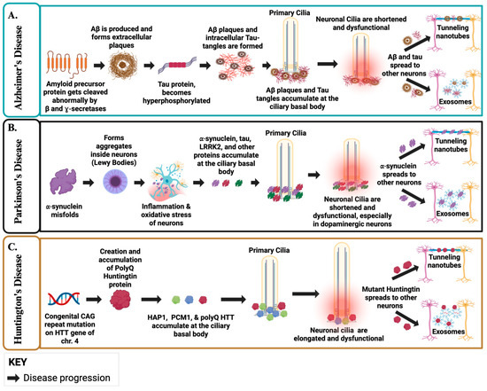 Biology 14 01787 g003