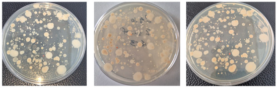 Biology 15 00041 g003