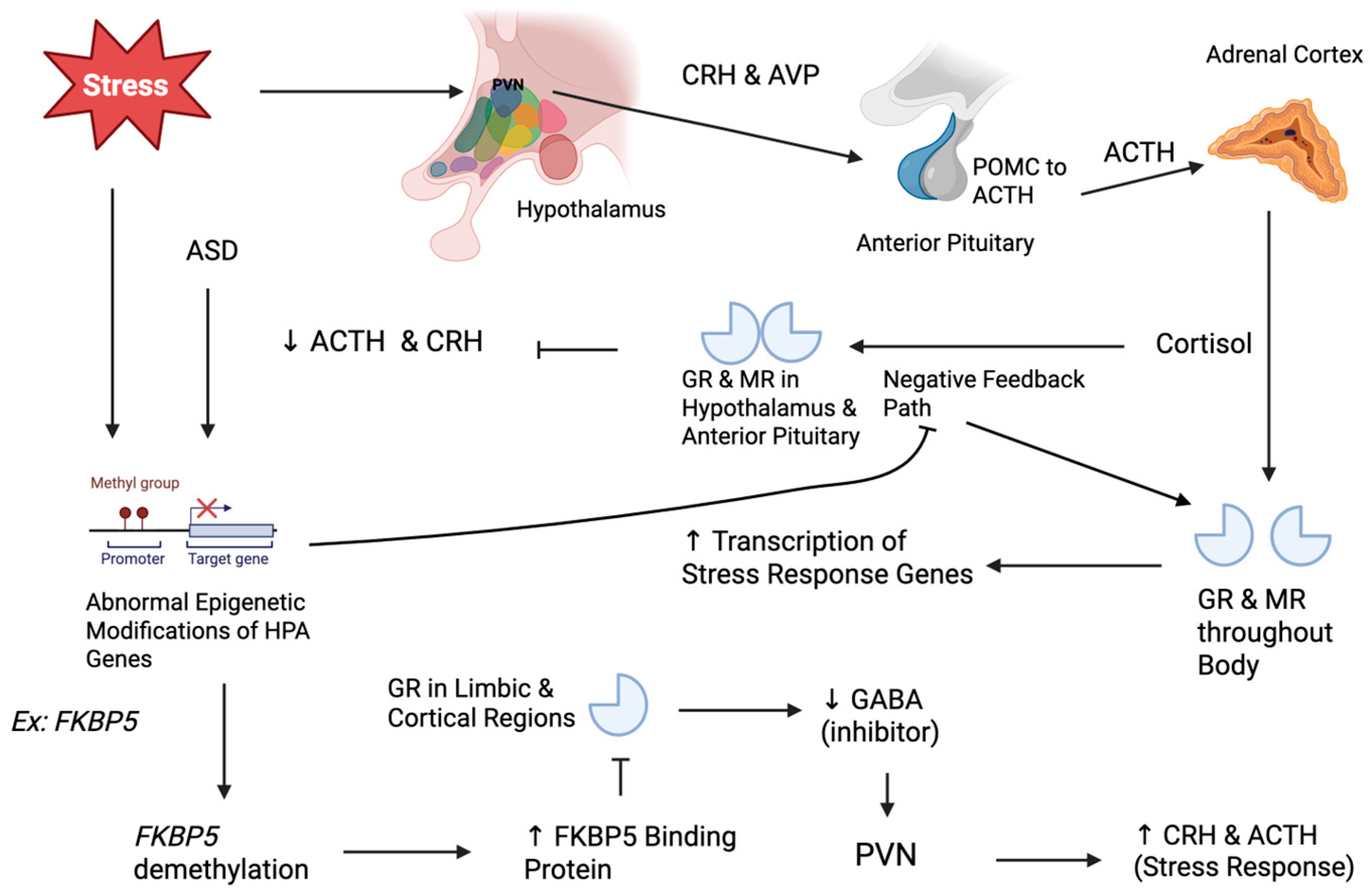 Biology 15 00066 g001