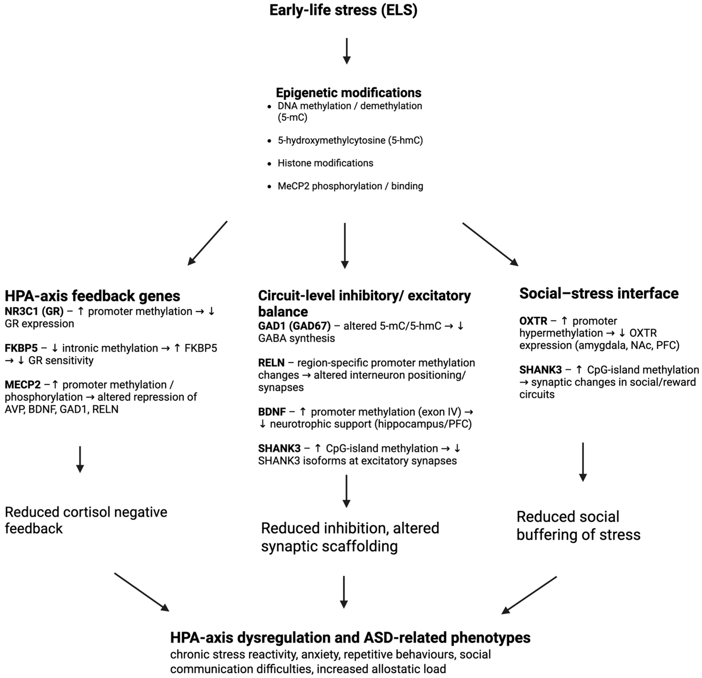 Biology 15 00066 g002