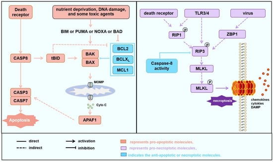 Biology 15 00081 g001