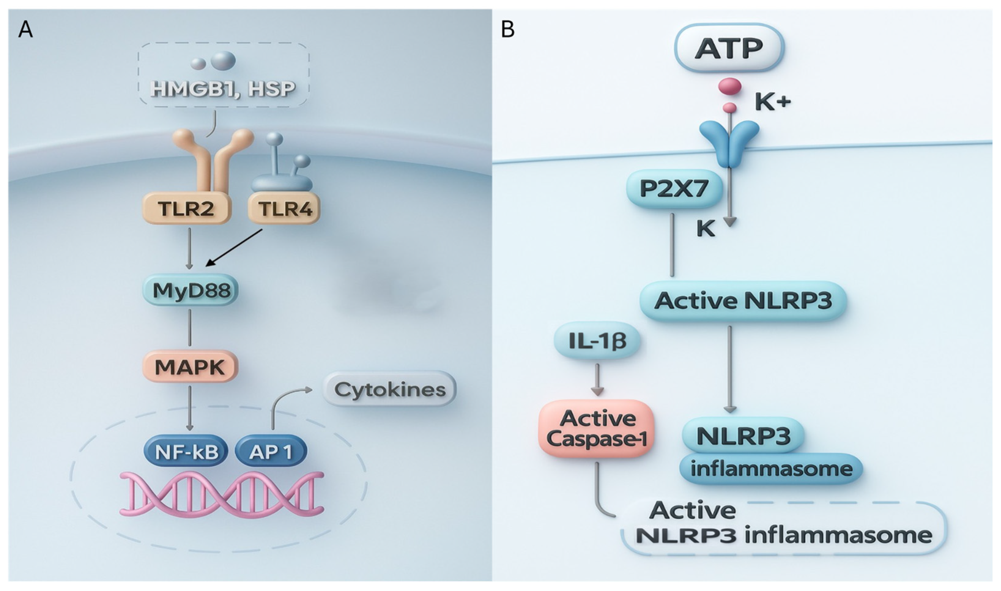 Biology 15 00162 g002