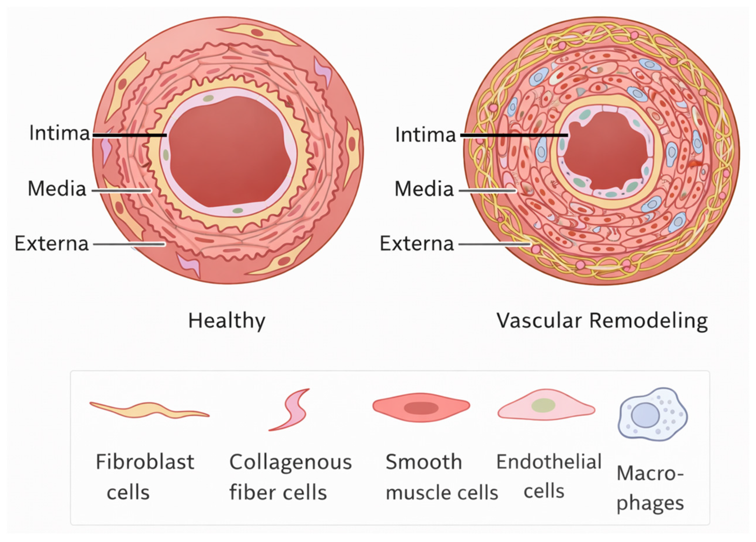 Biology 15 00162 g003