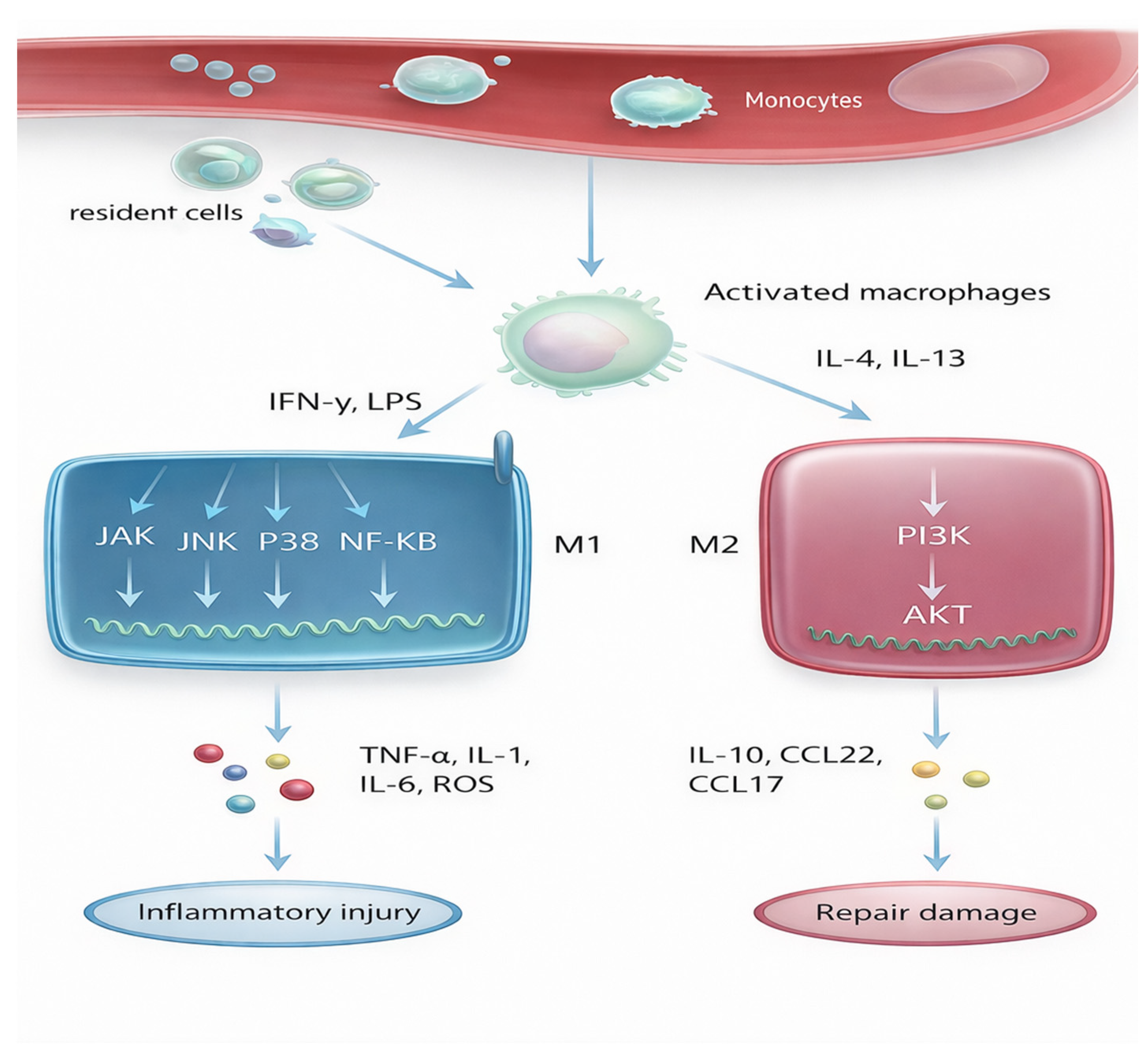 Biology 15 00162 g004