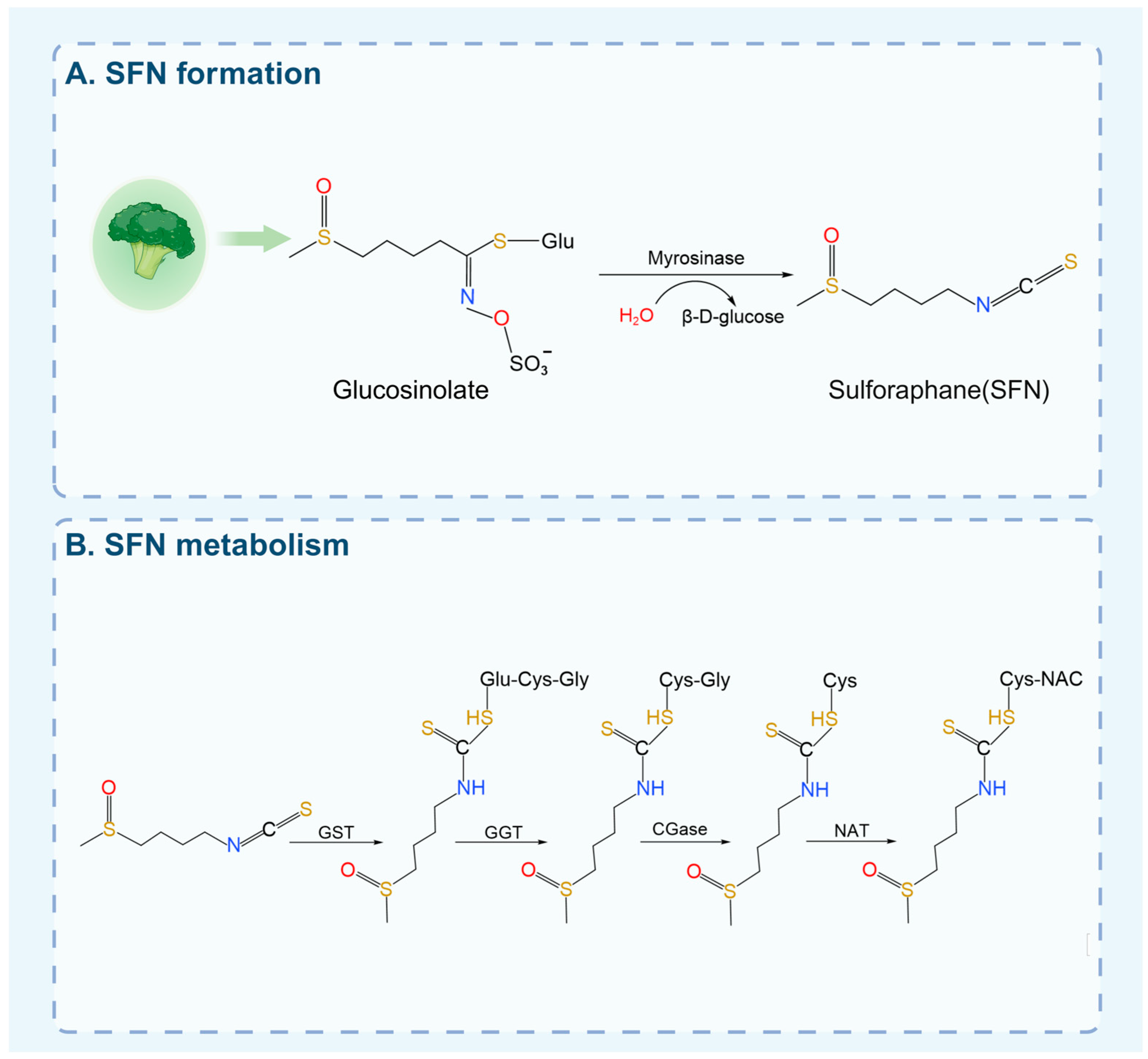 Biology 15 00167 g001