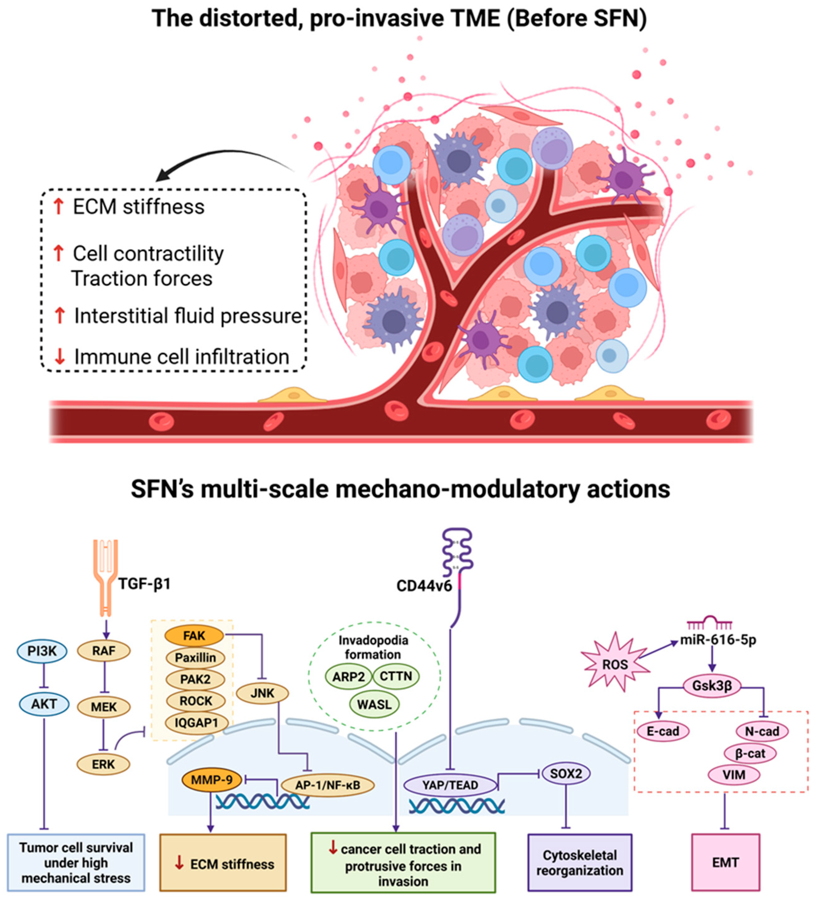 Biology 15 00167 g003