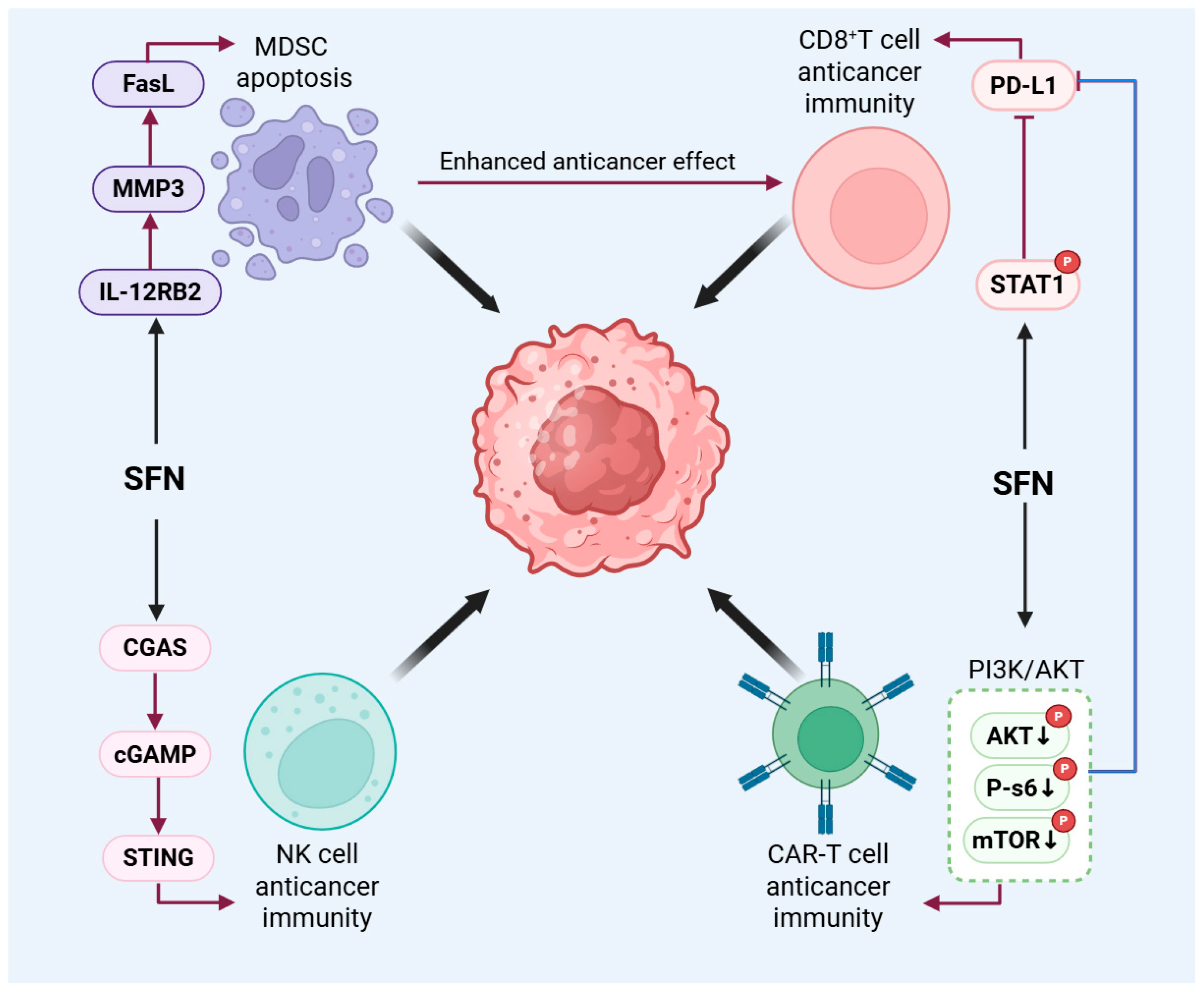 Biology 15 00167 g004