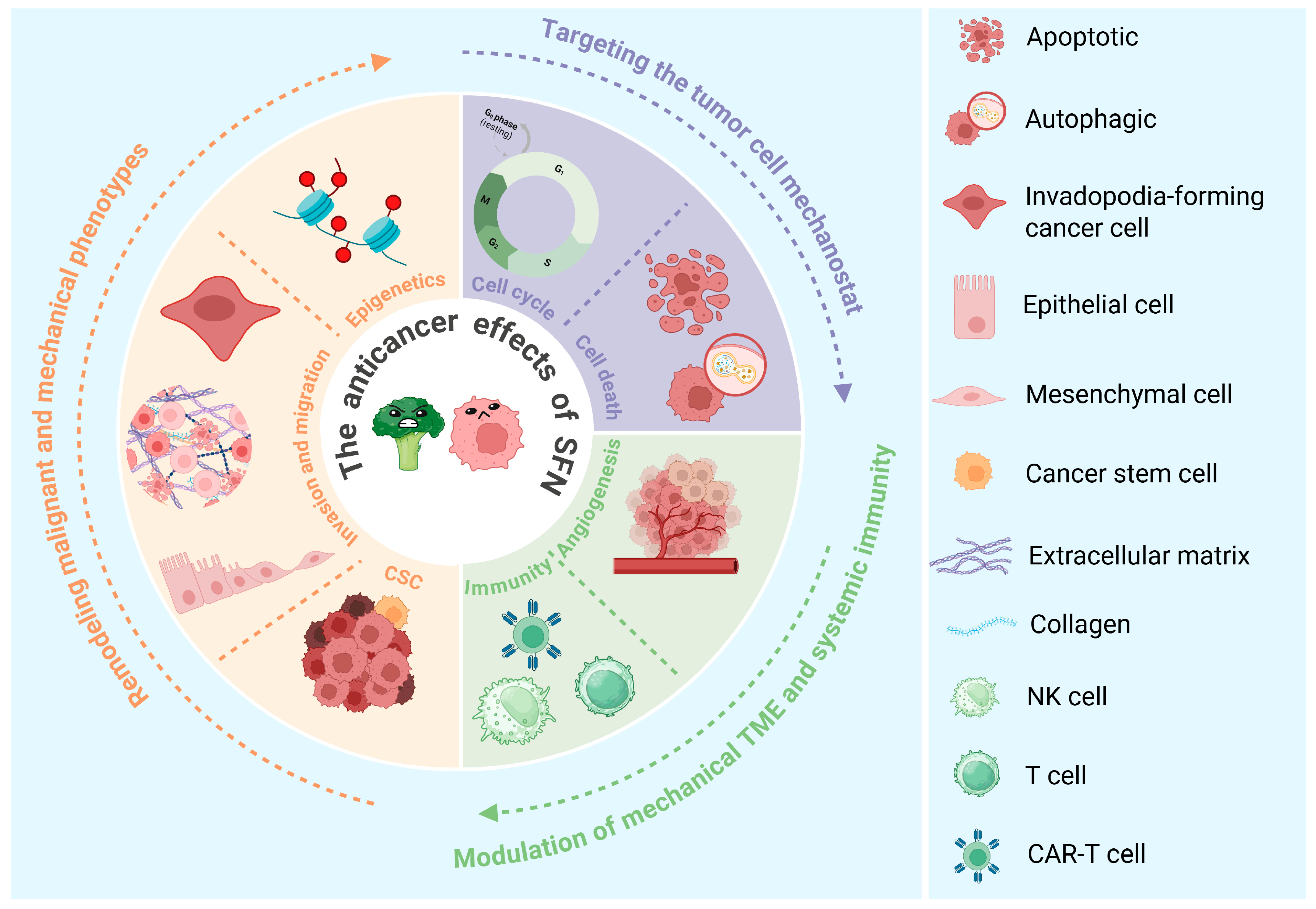 Biology 15 00167 g005
