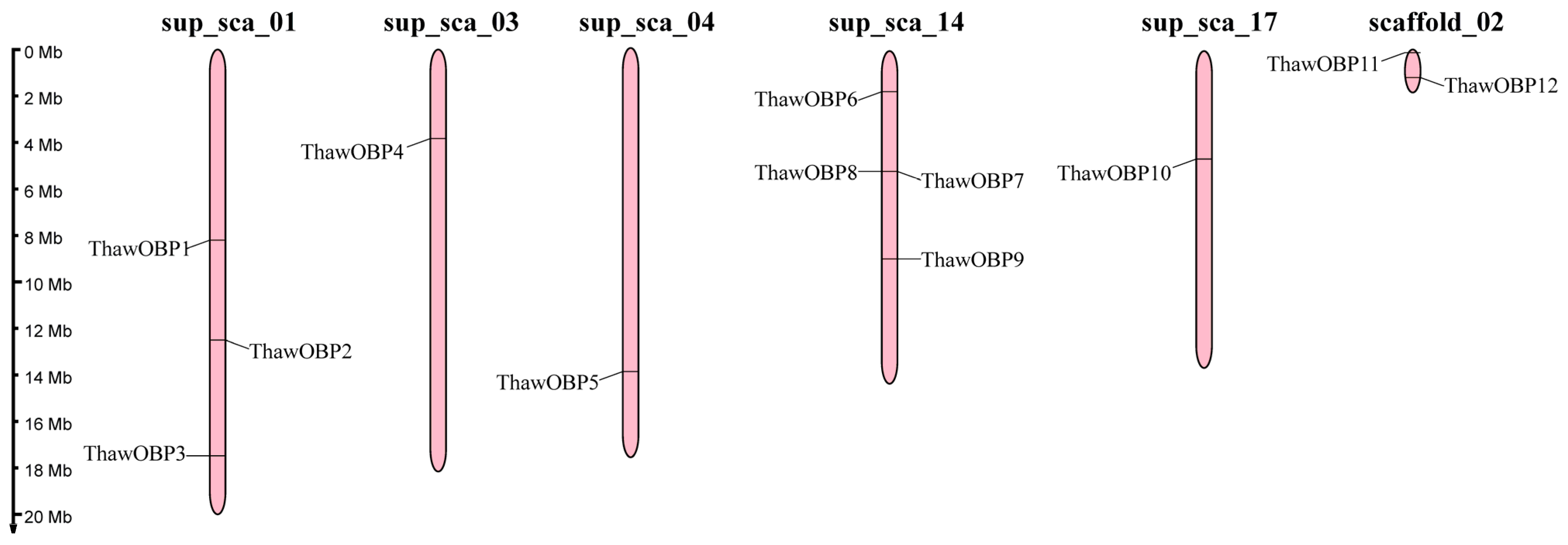Biology 15 00170 g001 Biology 15 00170 g001