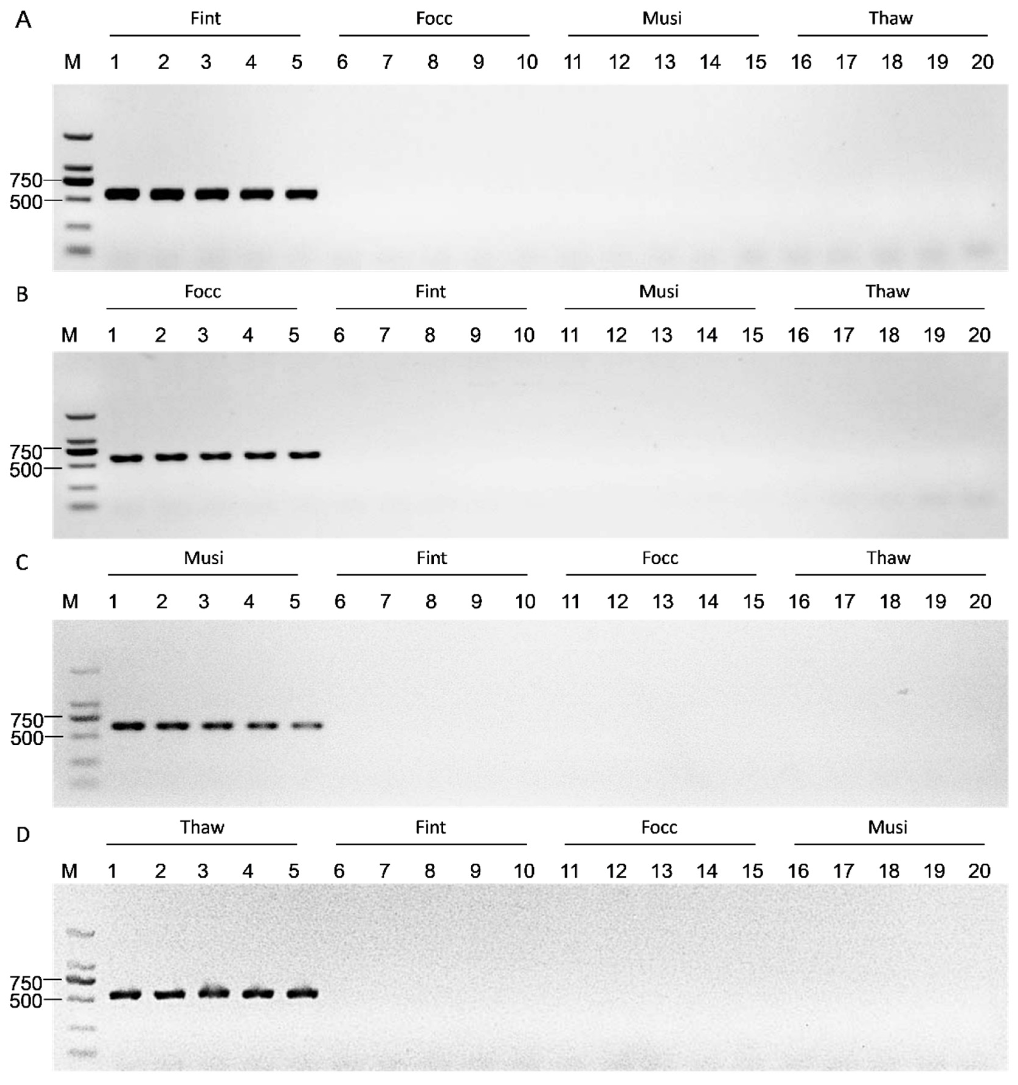 Biology 15 00171 g004