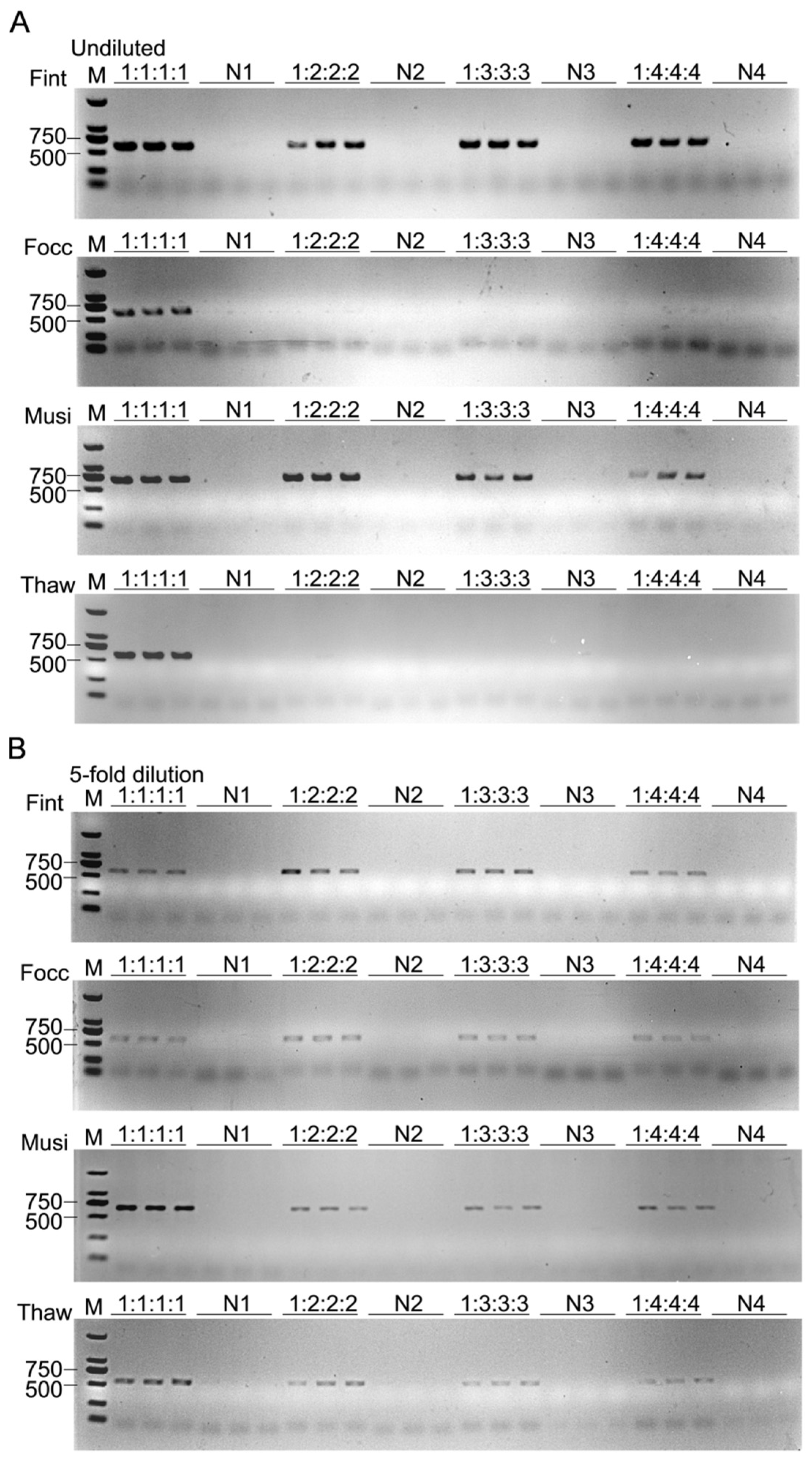 Biology 15 00171 g009