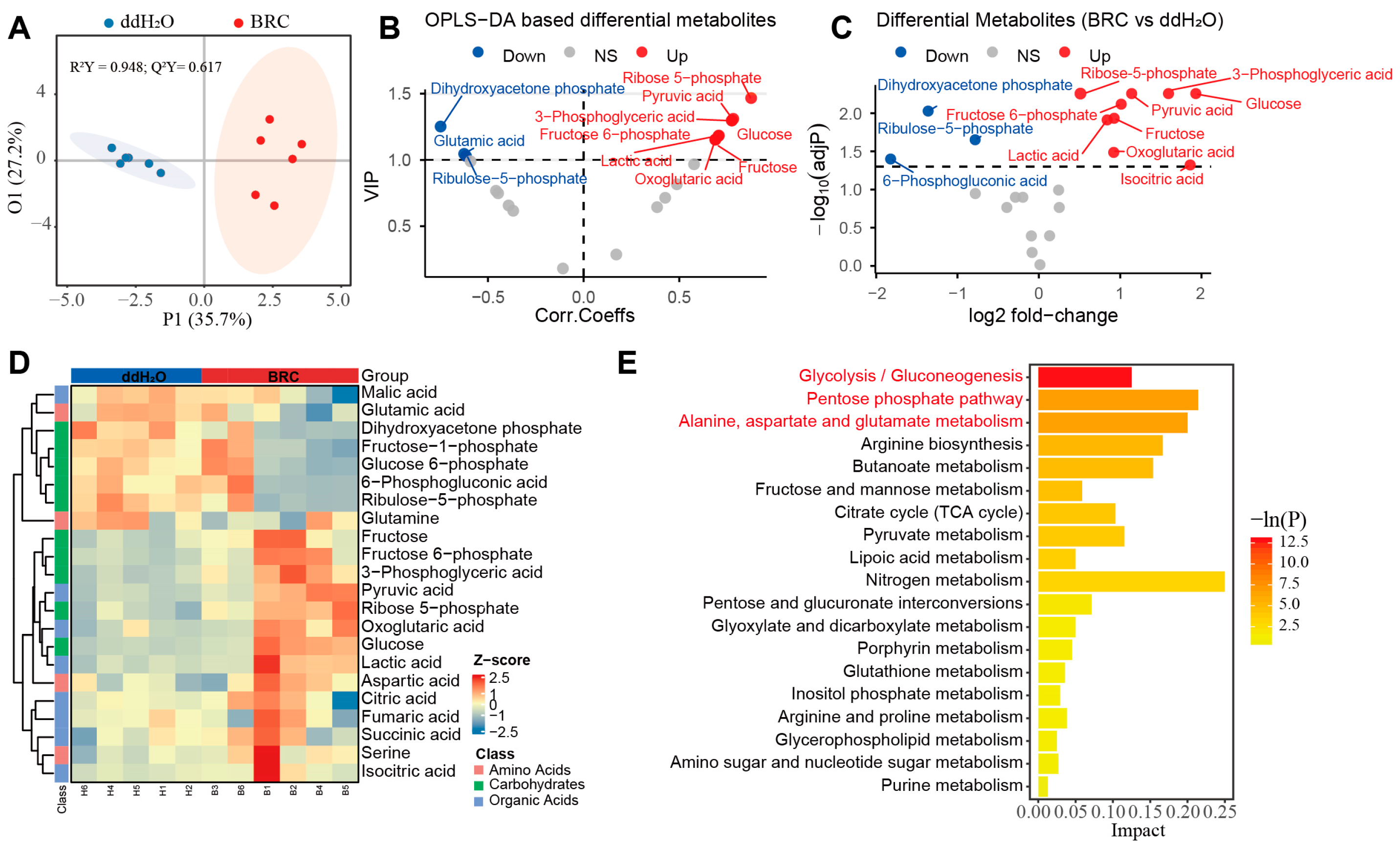 Biology 15 00174 g002 Biology 15 00174 g002