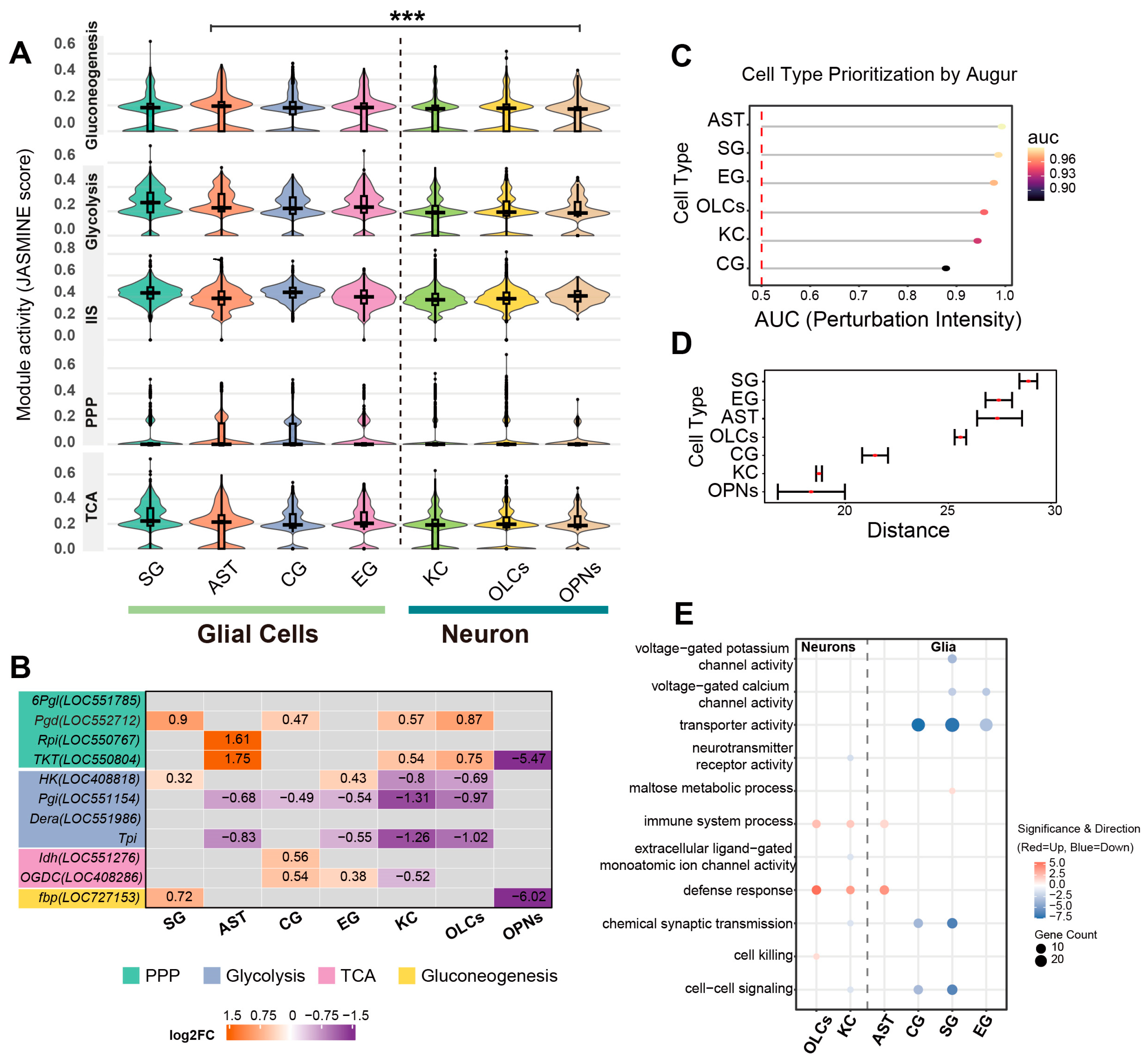 Biology 15 00174 g004 Biology 15 00174 g004