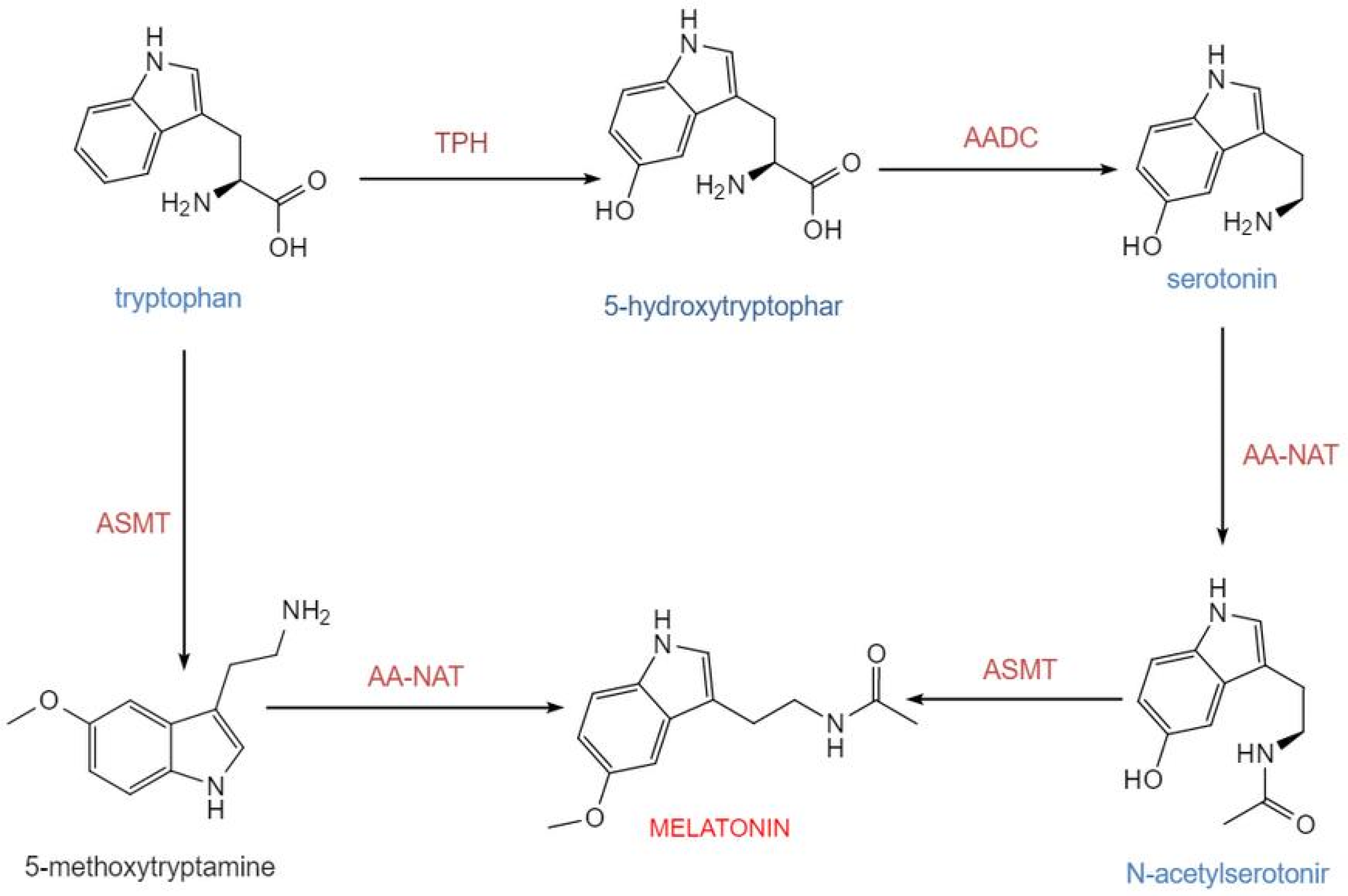 Biology 15 00189 g001