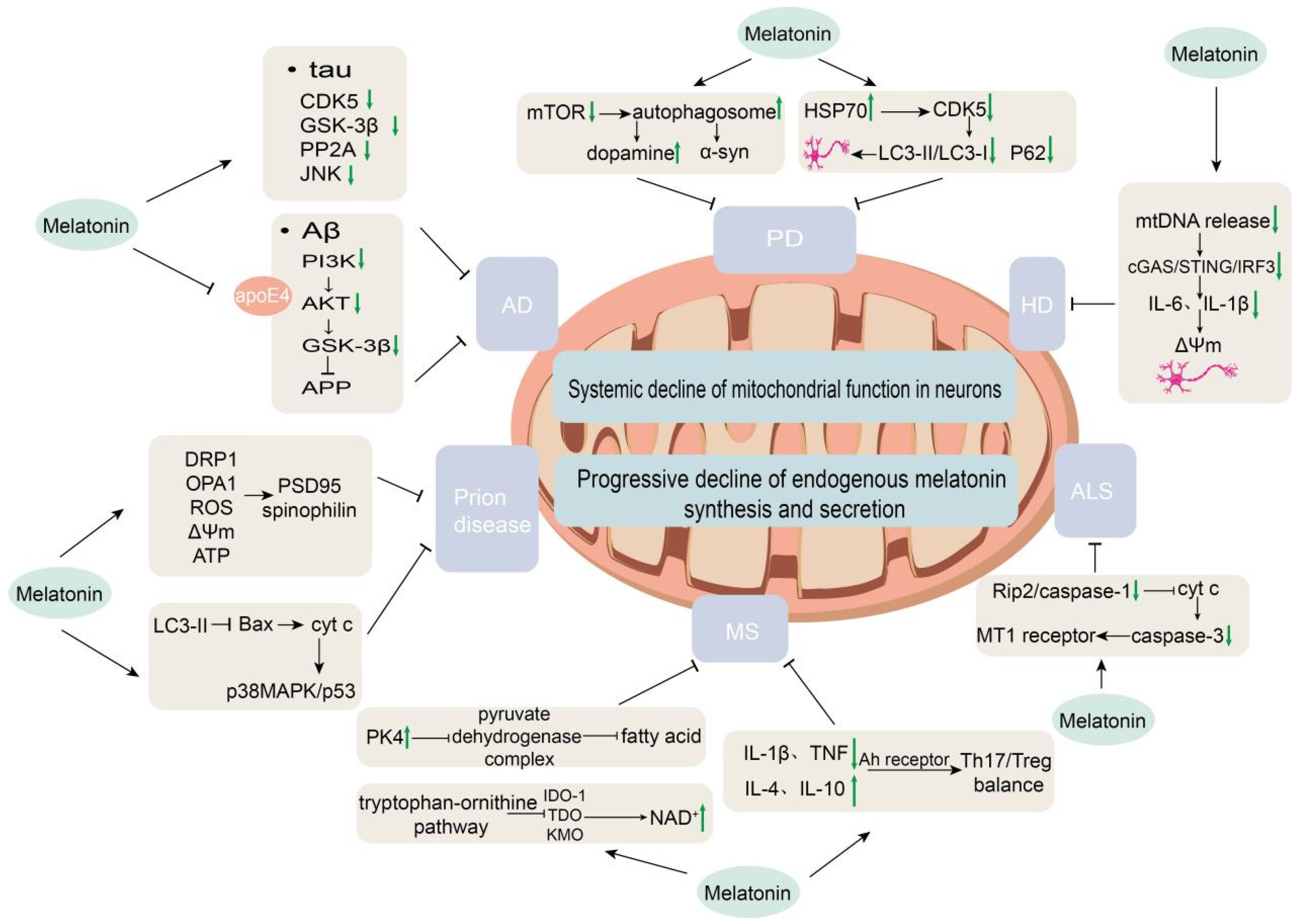 Biology 15 00189 g003