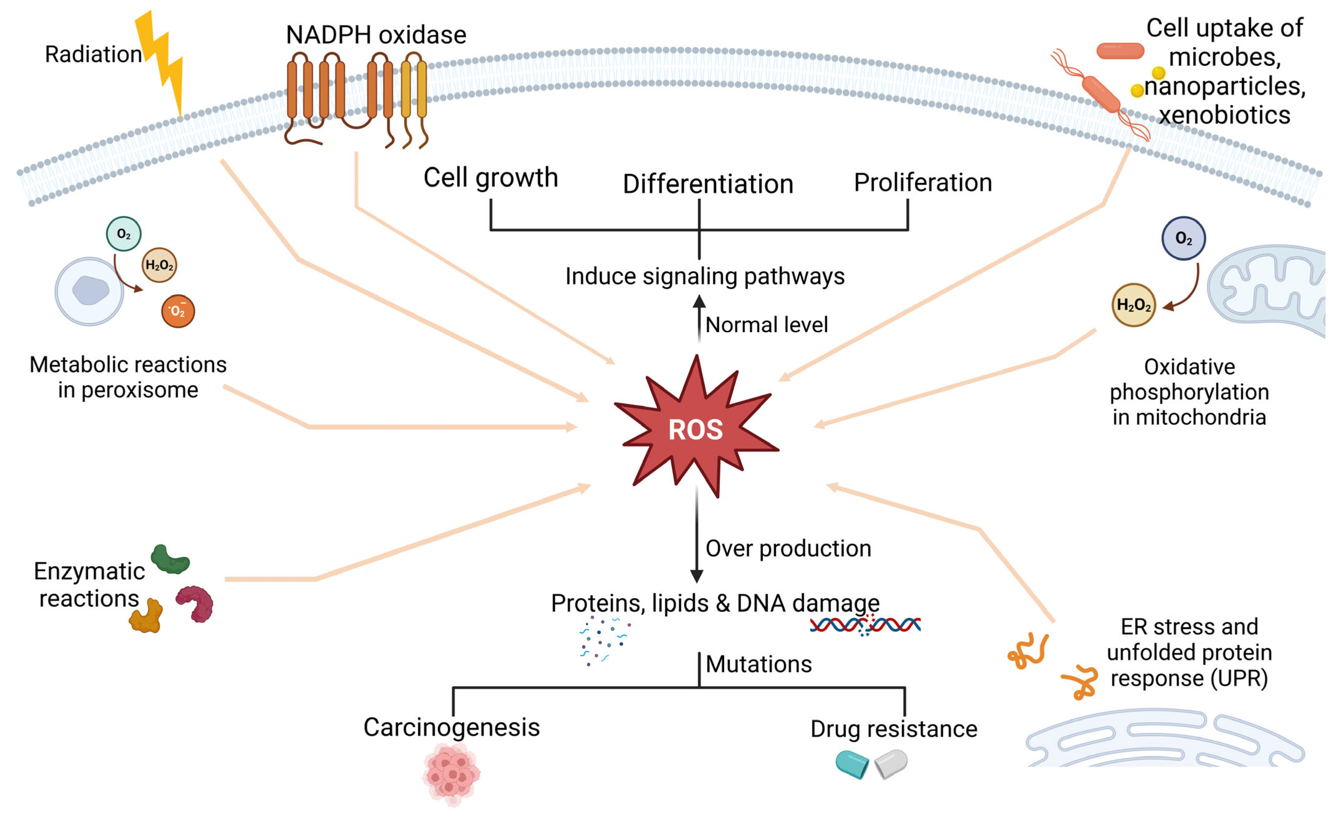Biology 15 00191 g003