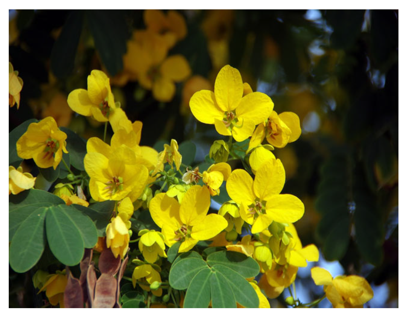 Biology 15 00191 g004