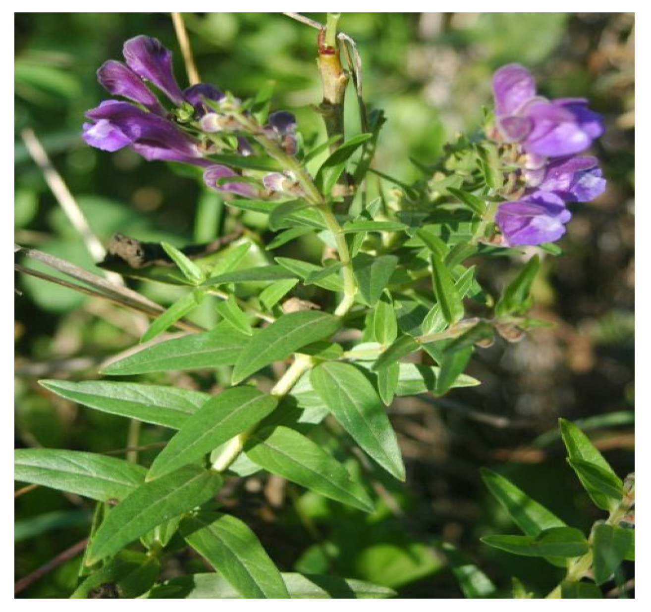 Biology 15 00191 g005