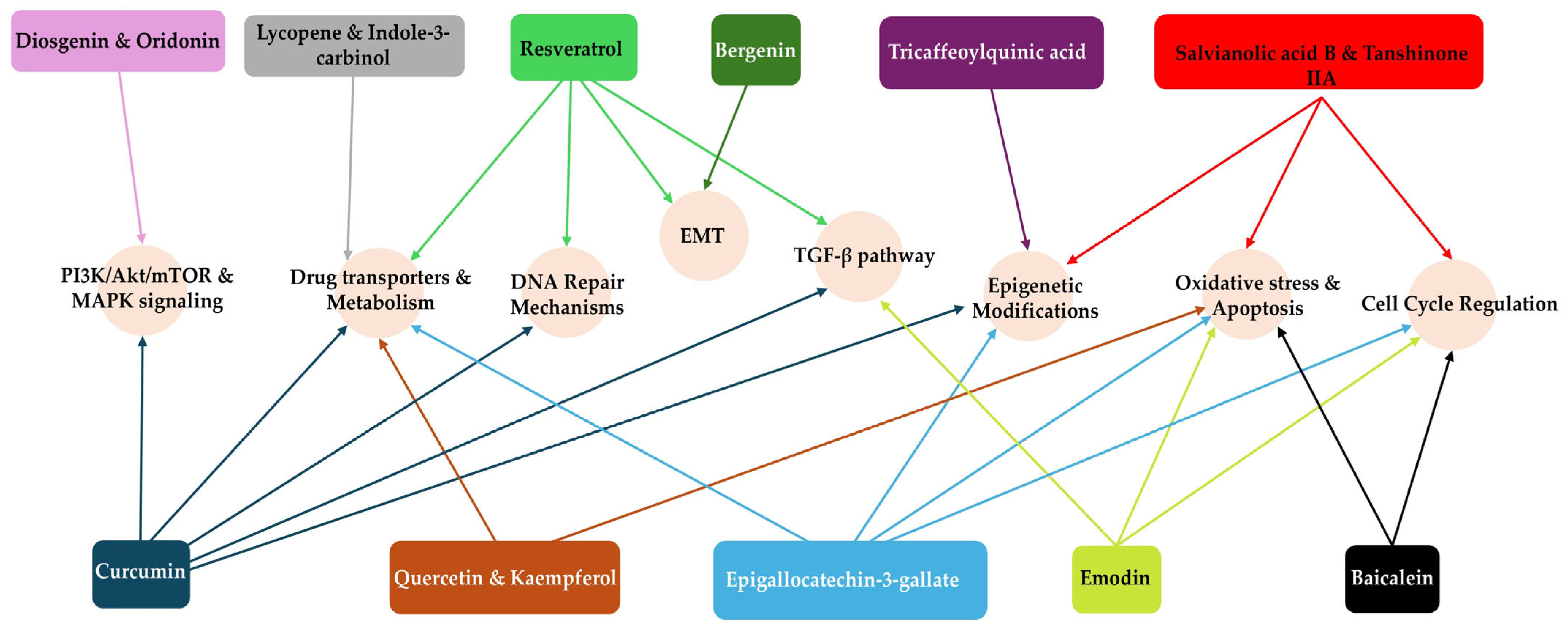 Biology 15 00191 g011