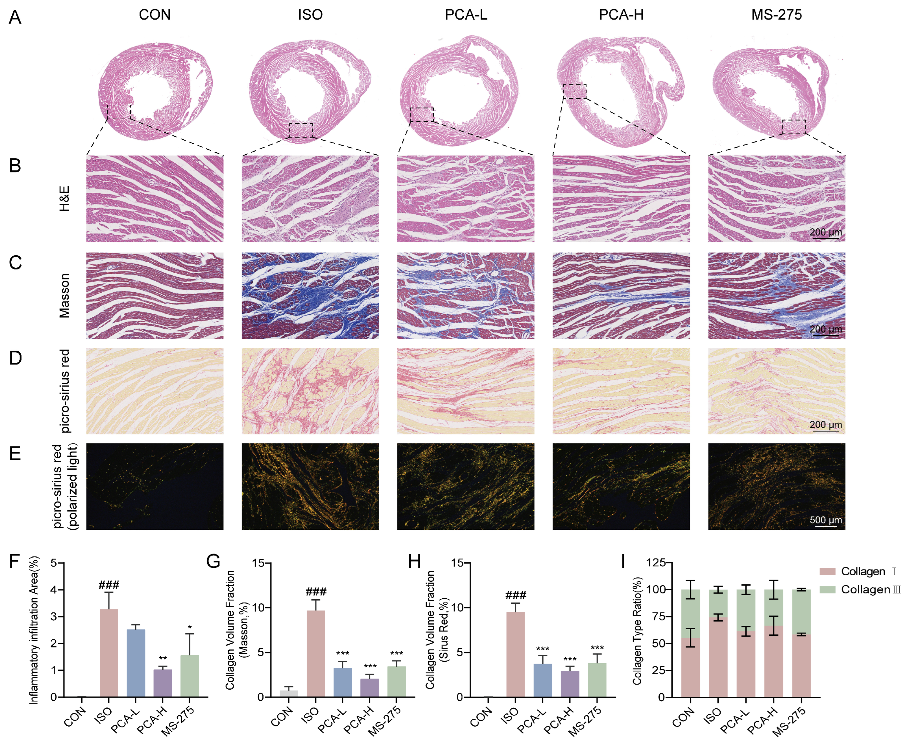 Biology 15 00206 g002