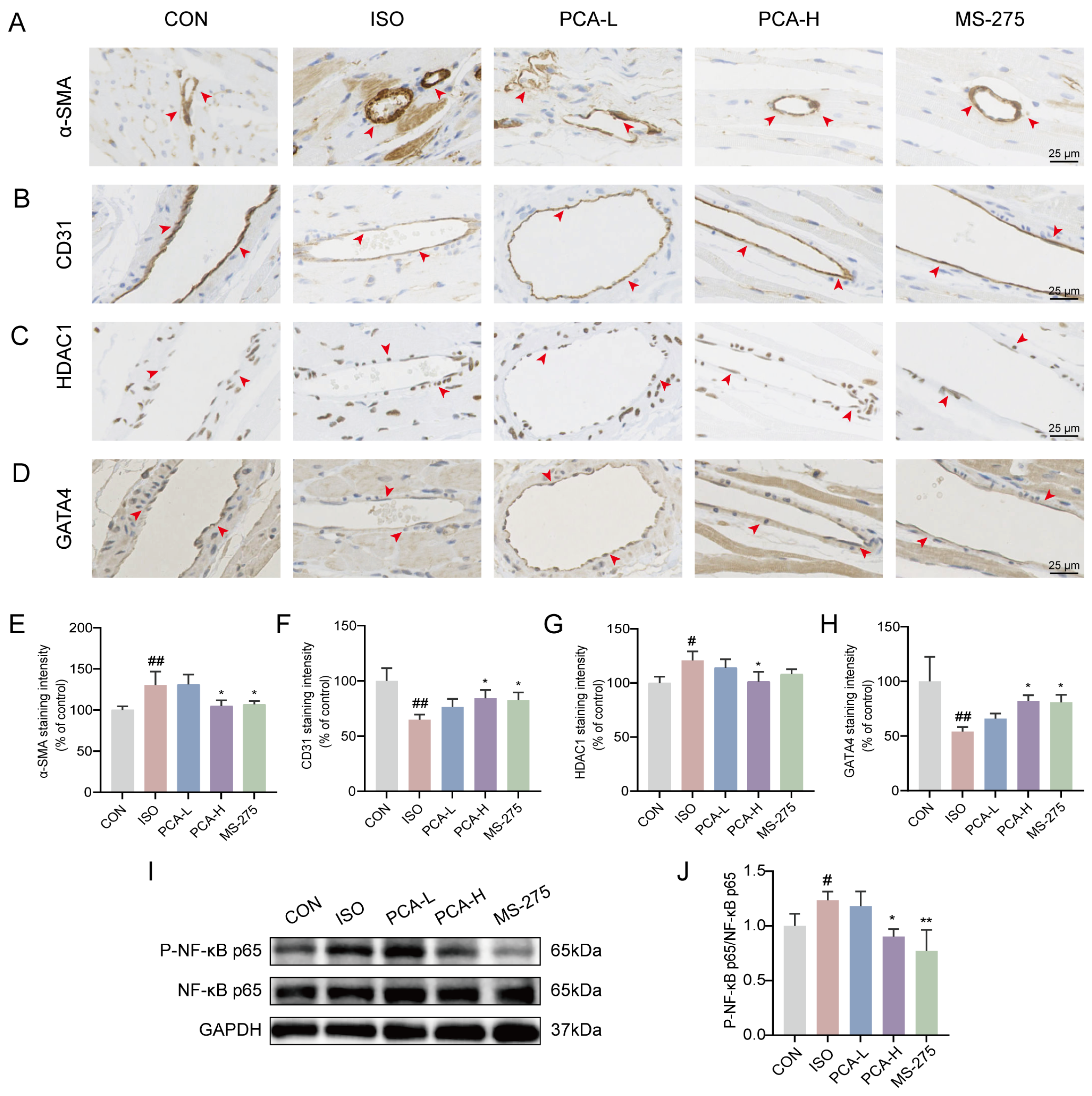 Biology 15 00206 g003