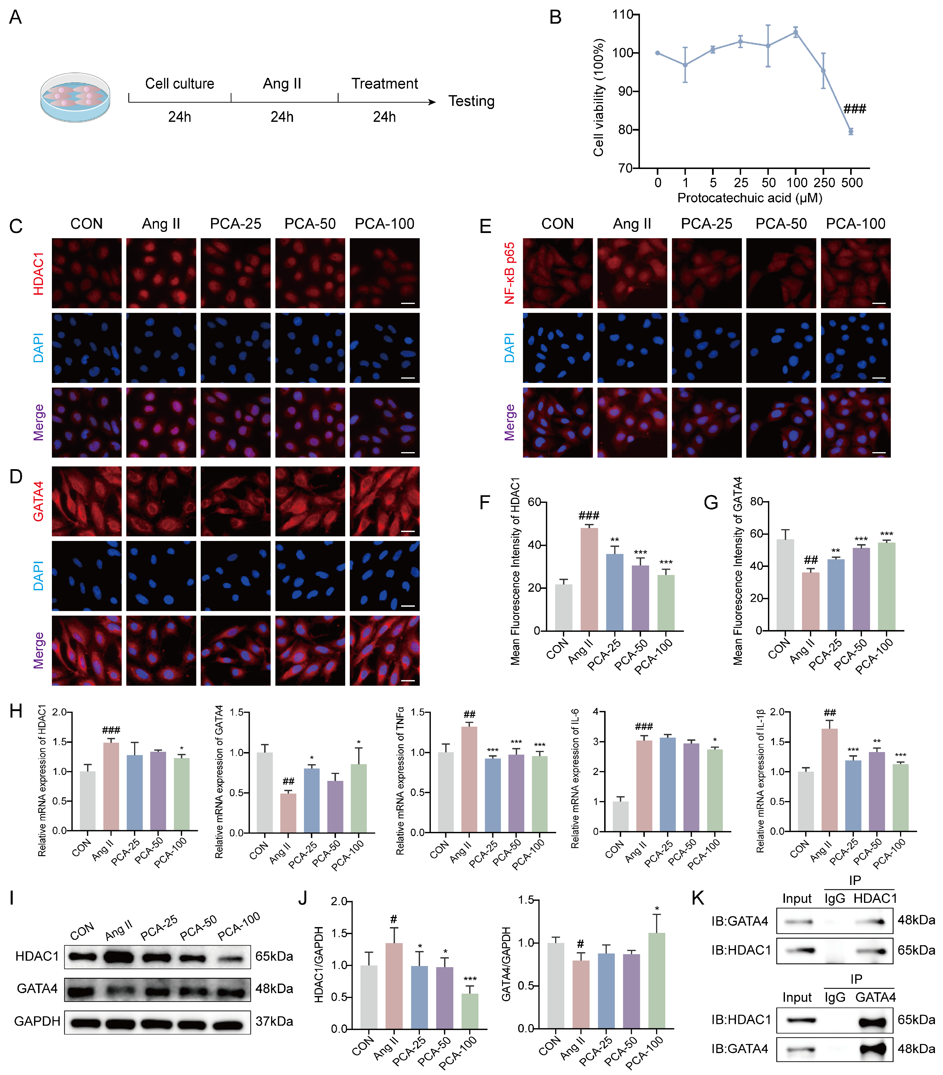 Biology 15 00206 g004