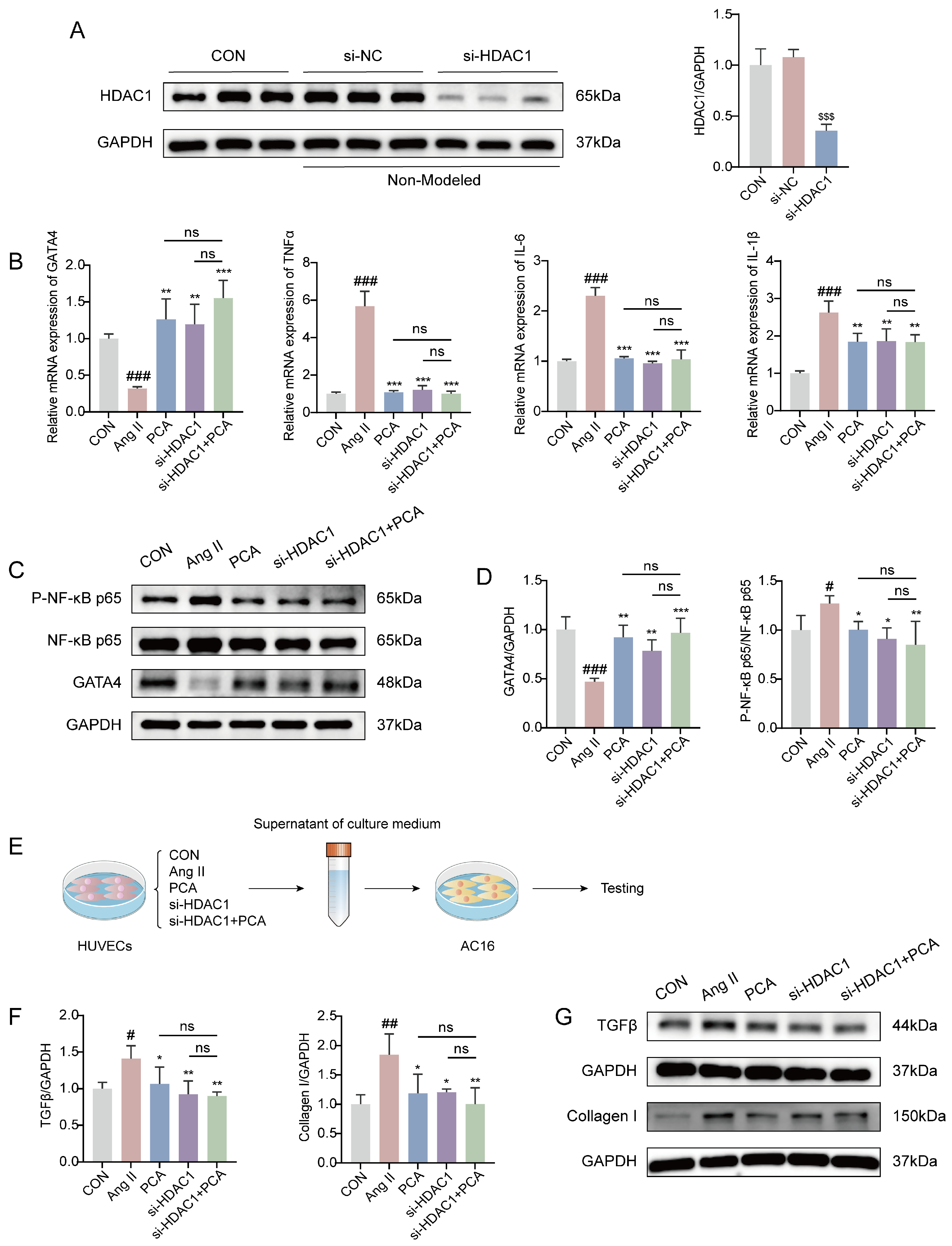 Biology 15 00206 g005