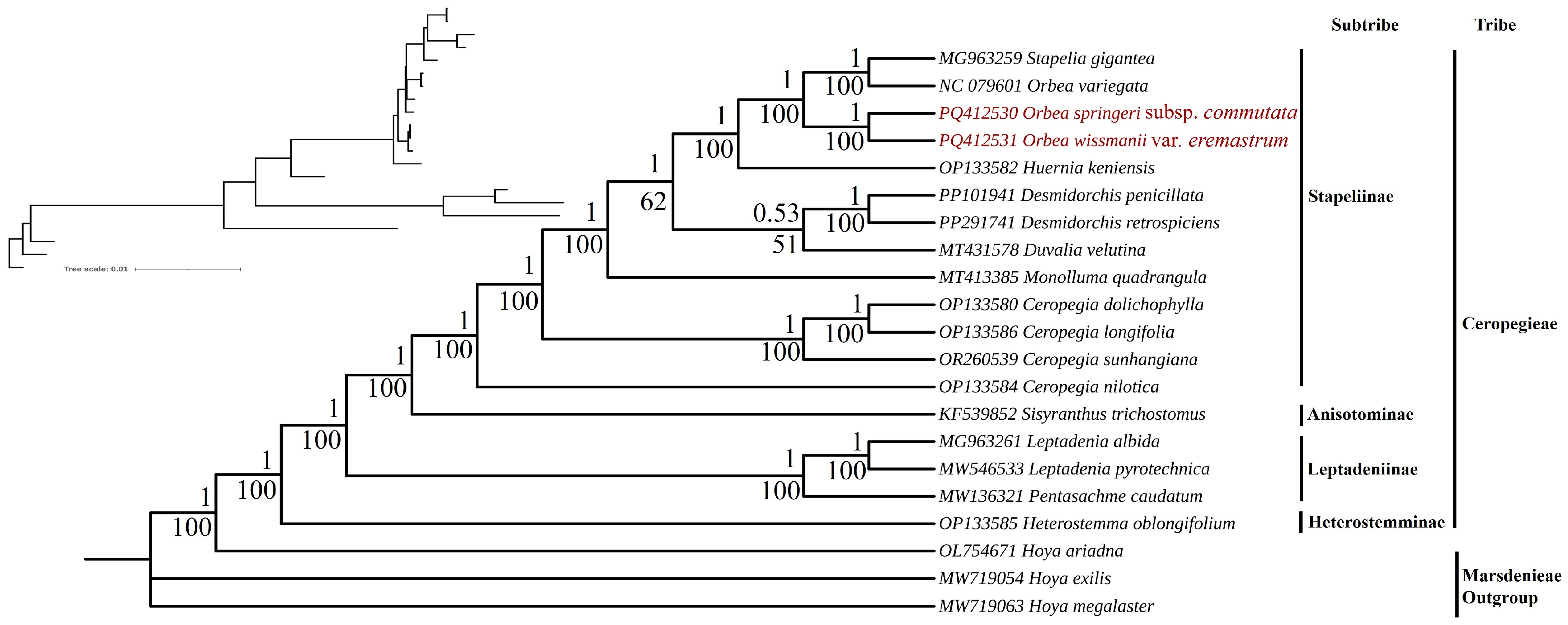 Biology 15 00223 g010