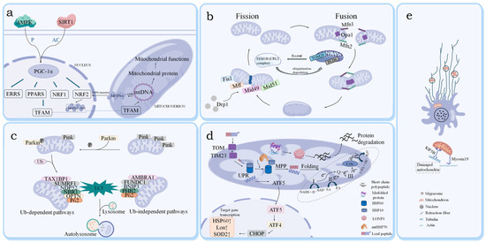 Biology 15 00230 g001