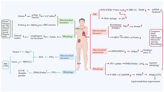 Biology 15 00230 g002