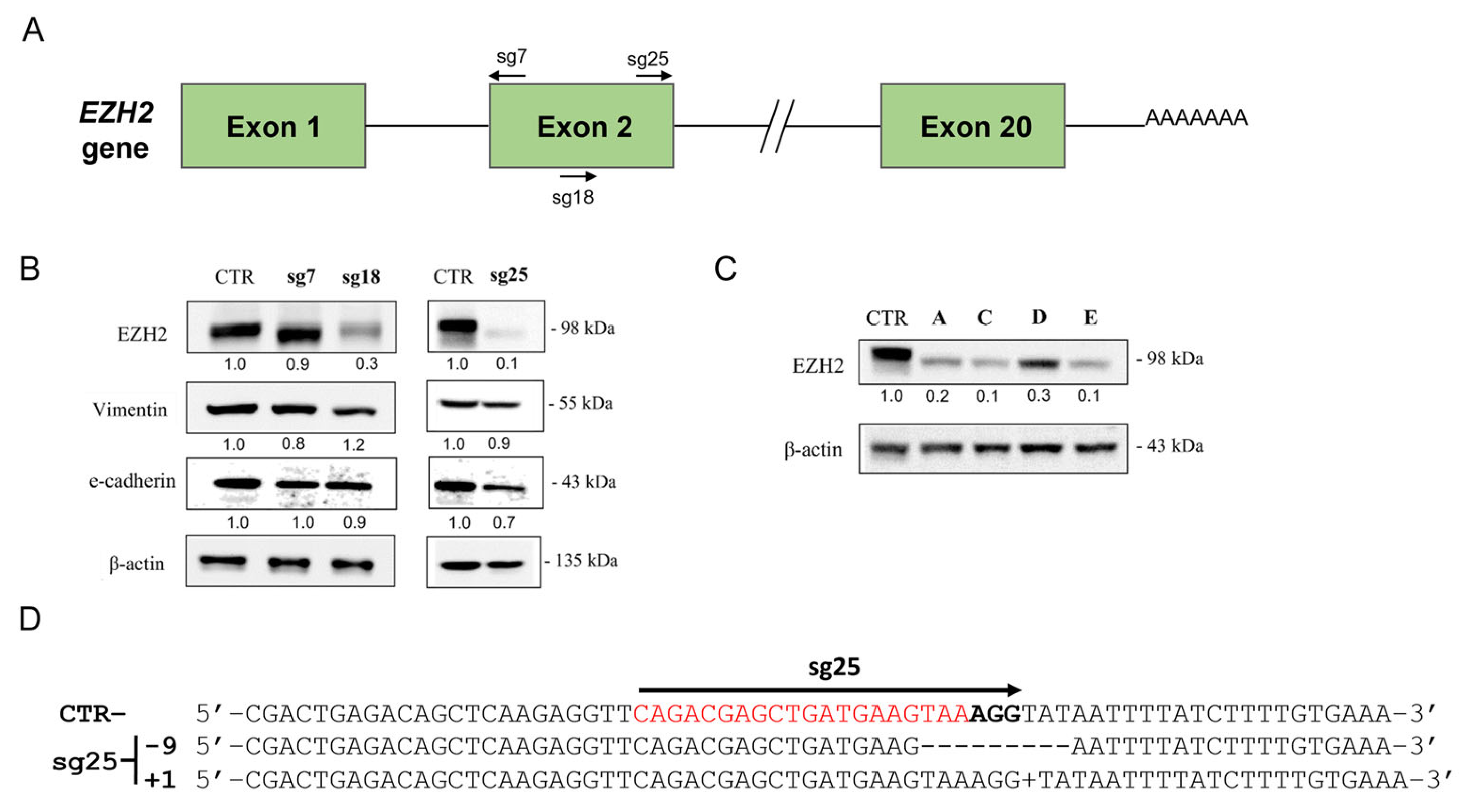 Biology 15 00251 g002