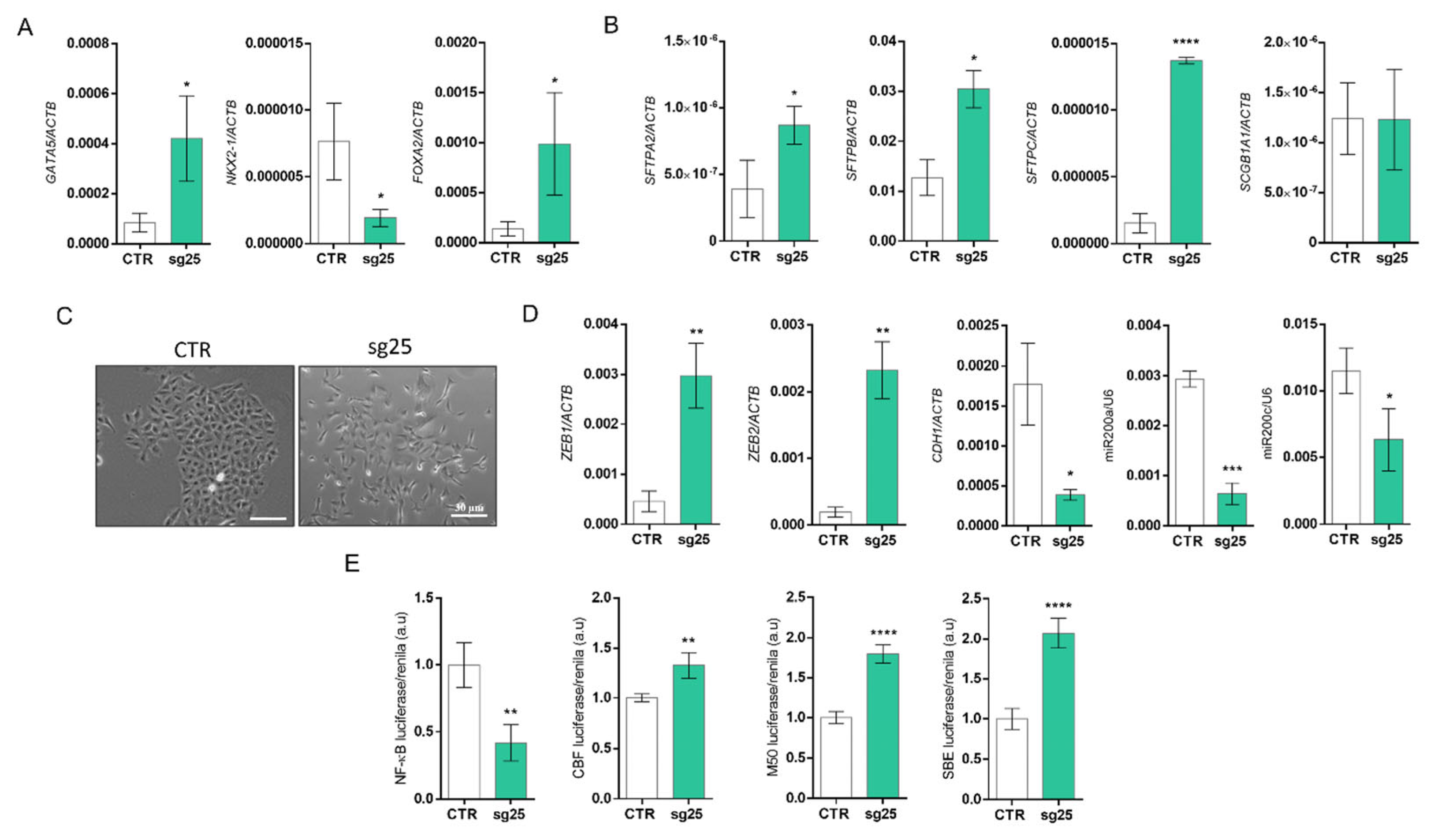 Biology 15 00251 g003