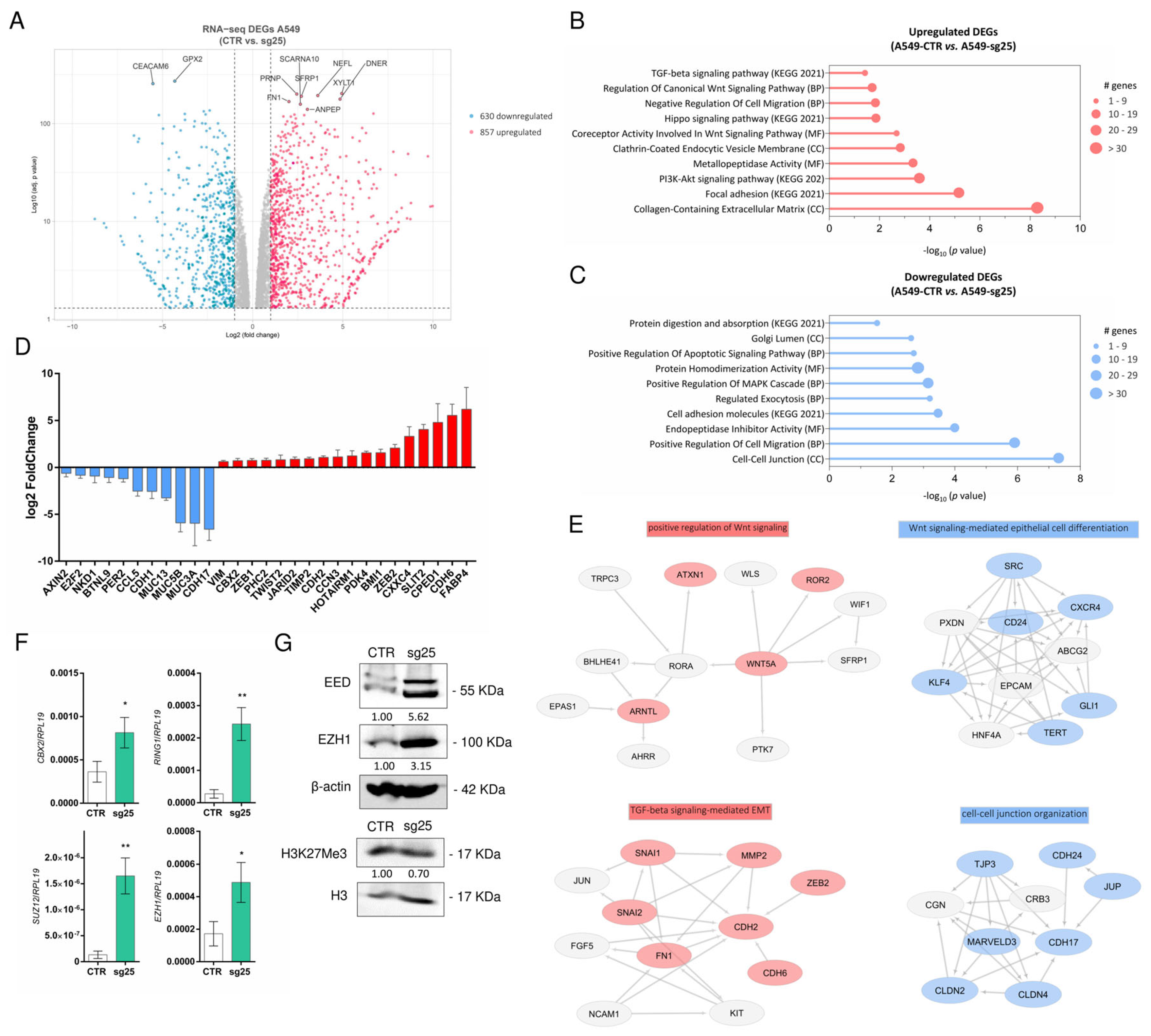 Biology 15 00251 g005