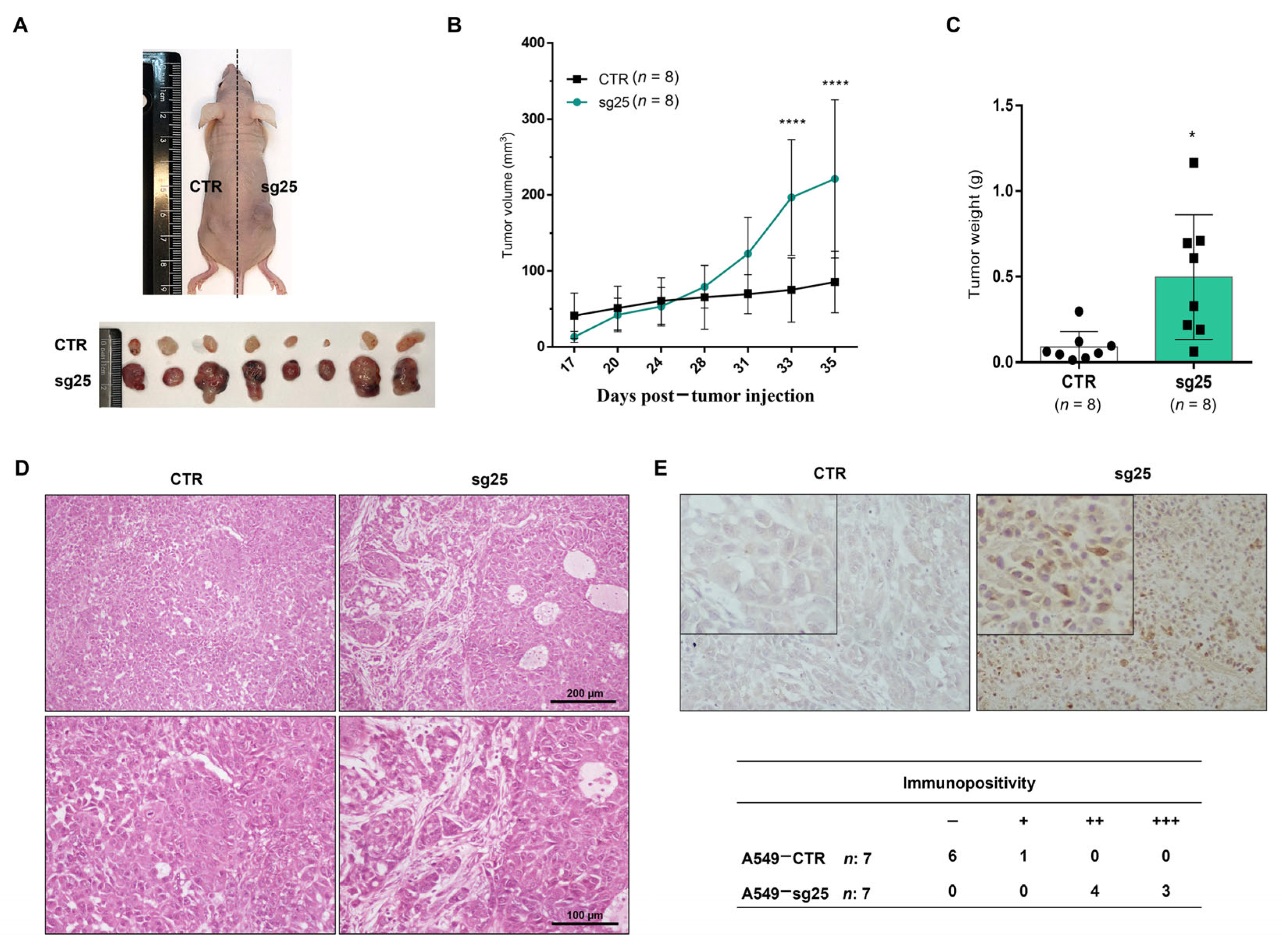Biology 15 00251 g006