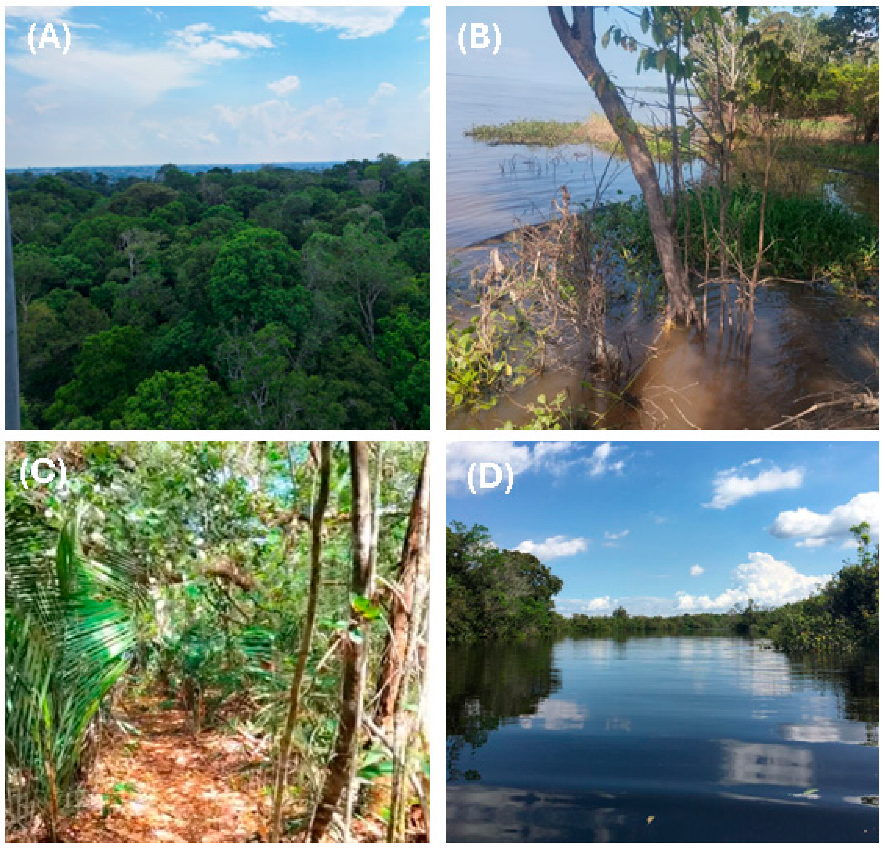 Biology 15 00261 g001 Biology 15 00261 g001