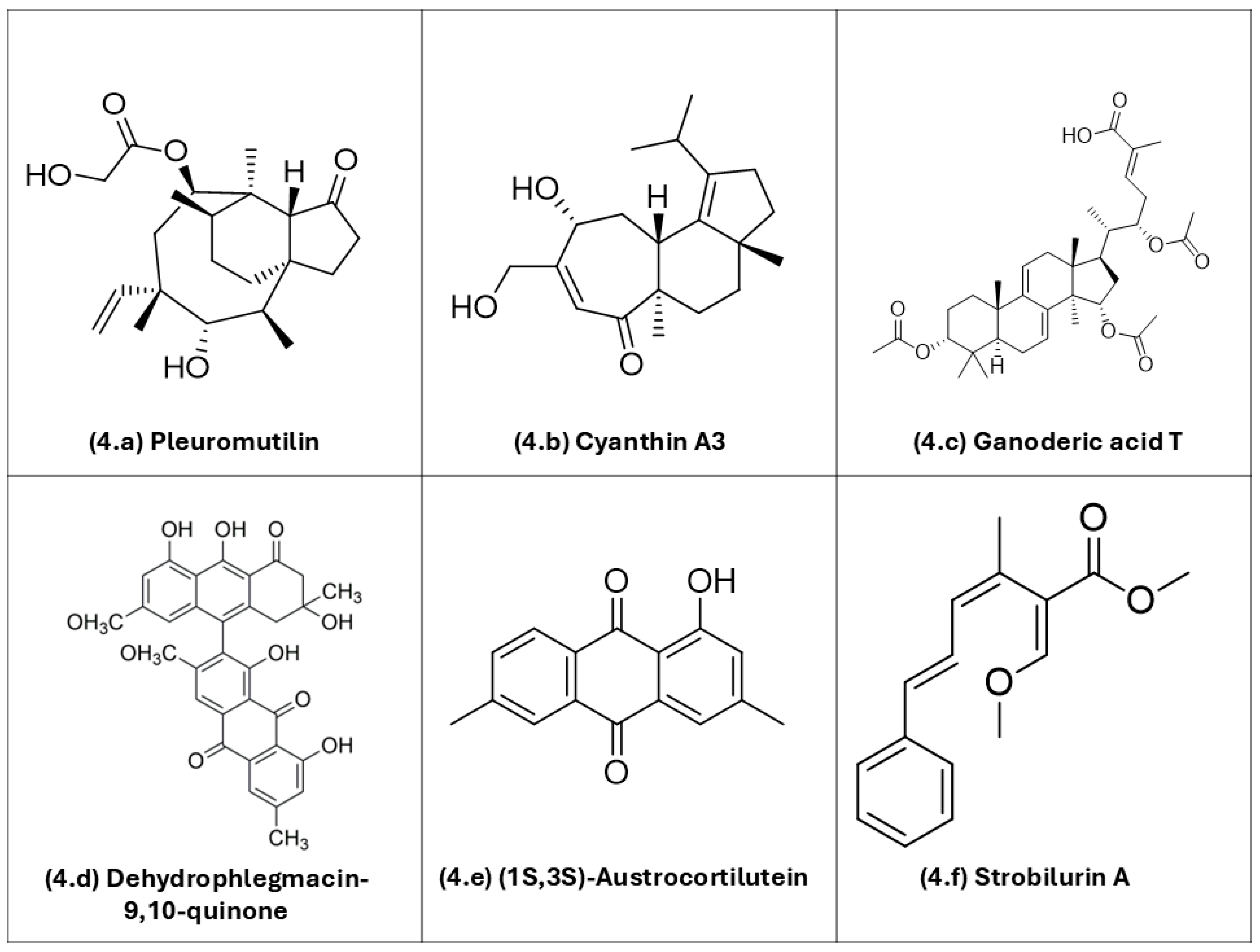 Biology 15 00261 g004 Biology 15 00261 g004