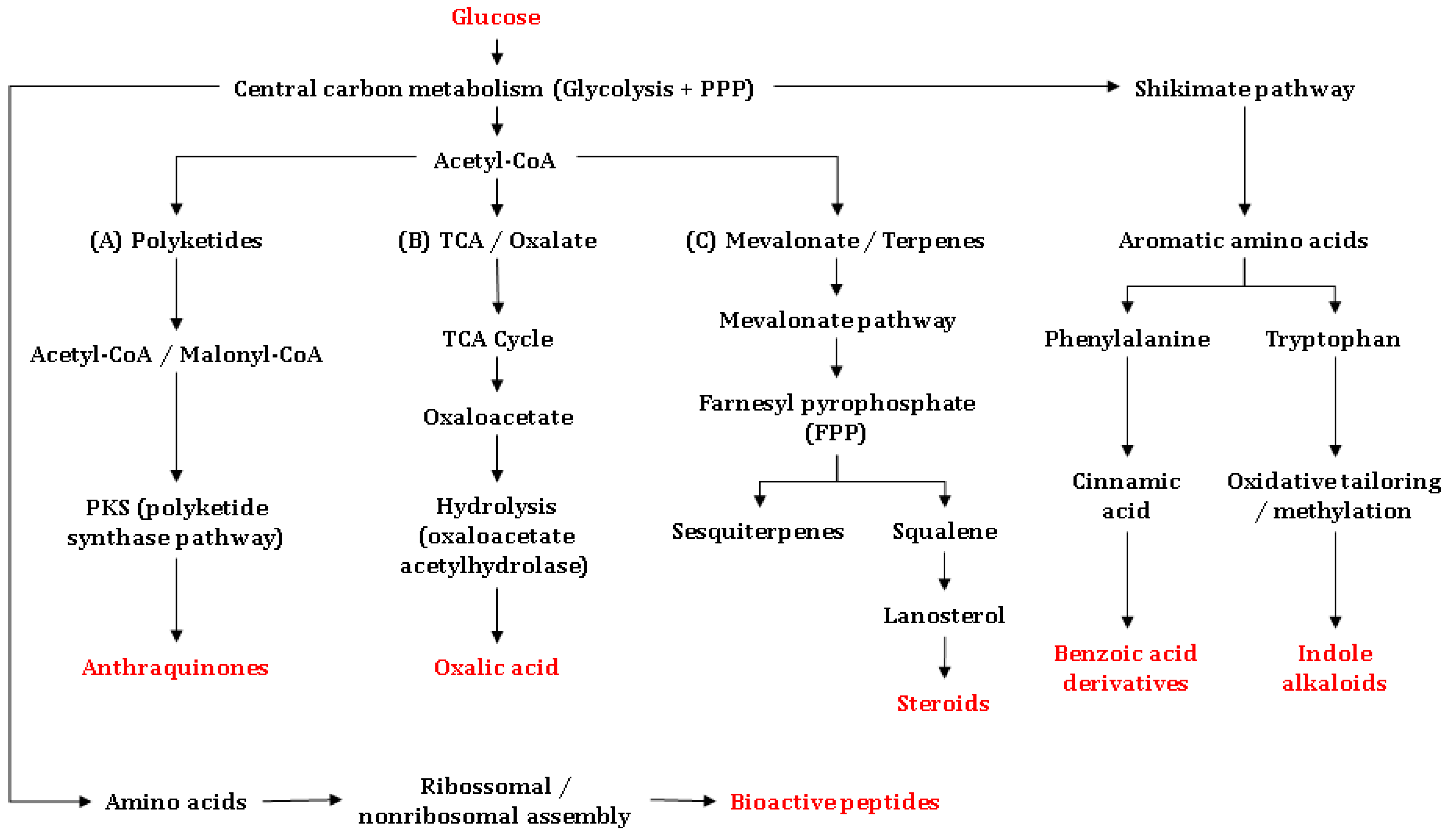 Biology 15 00261 g005 Biology 15 00261 g005