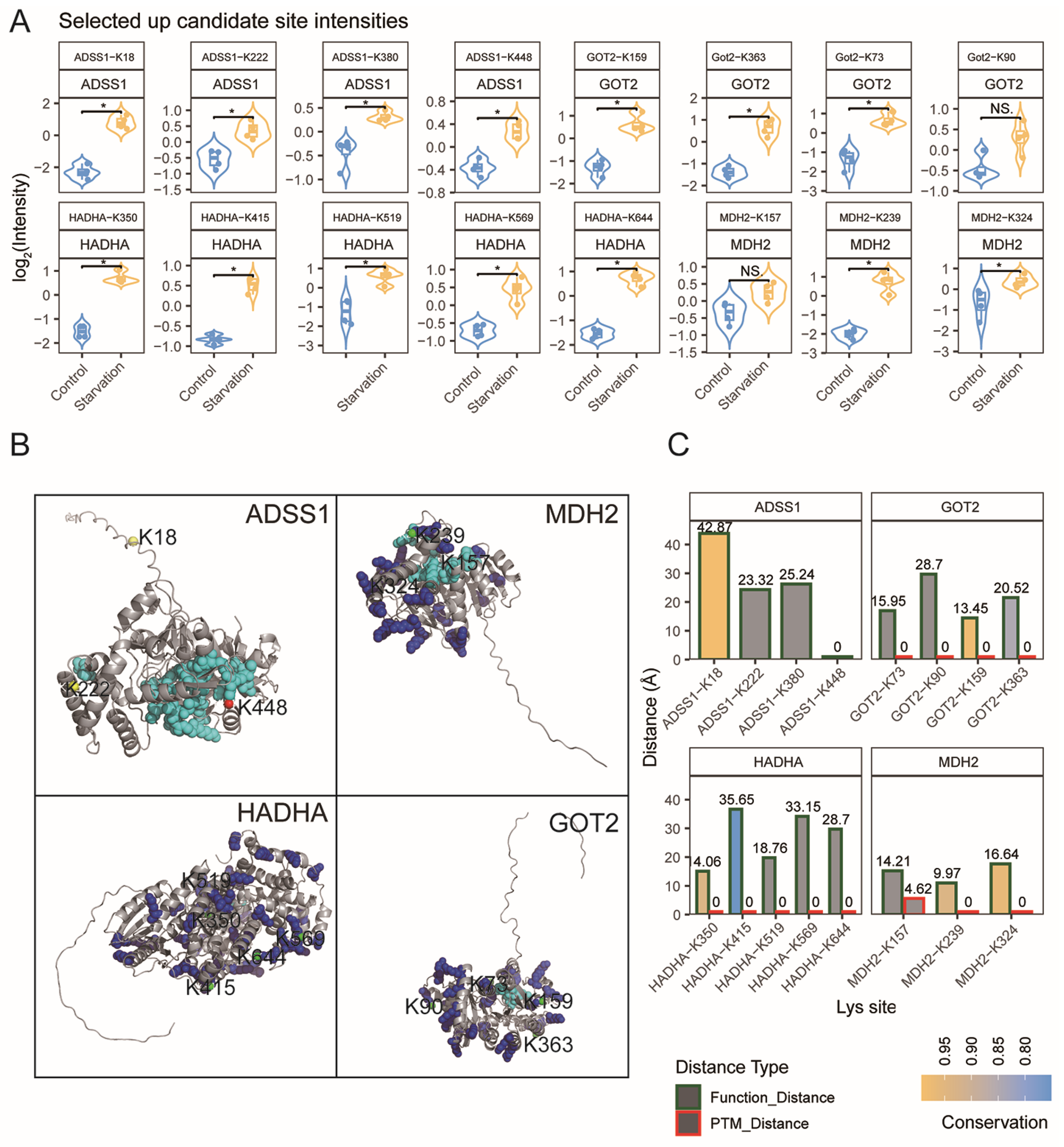 Biology 15 00289 g005 Biology 15 00289 g005