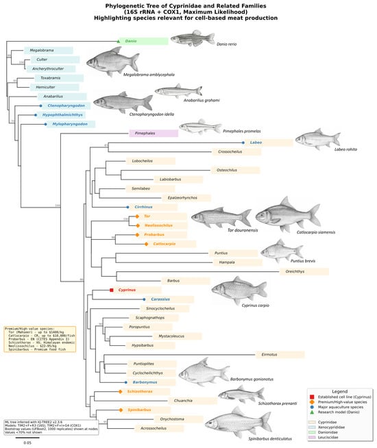 Biology 15 00291 g002