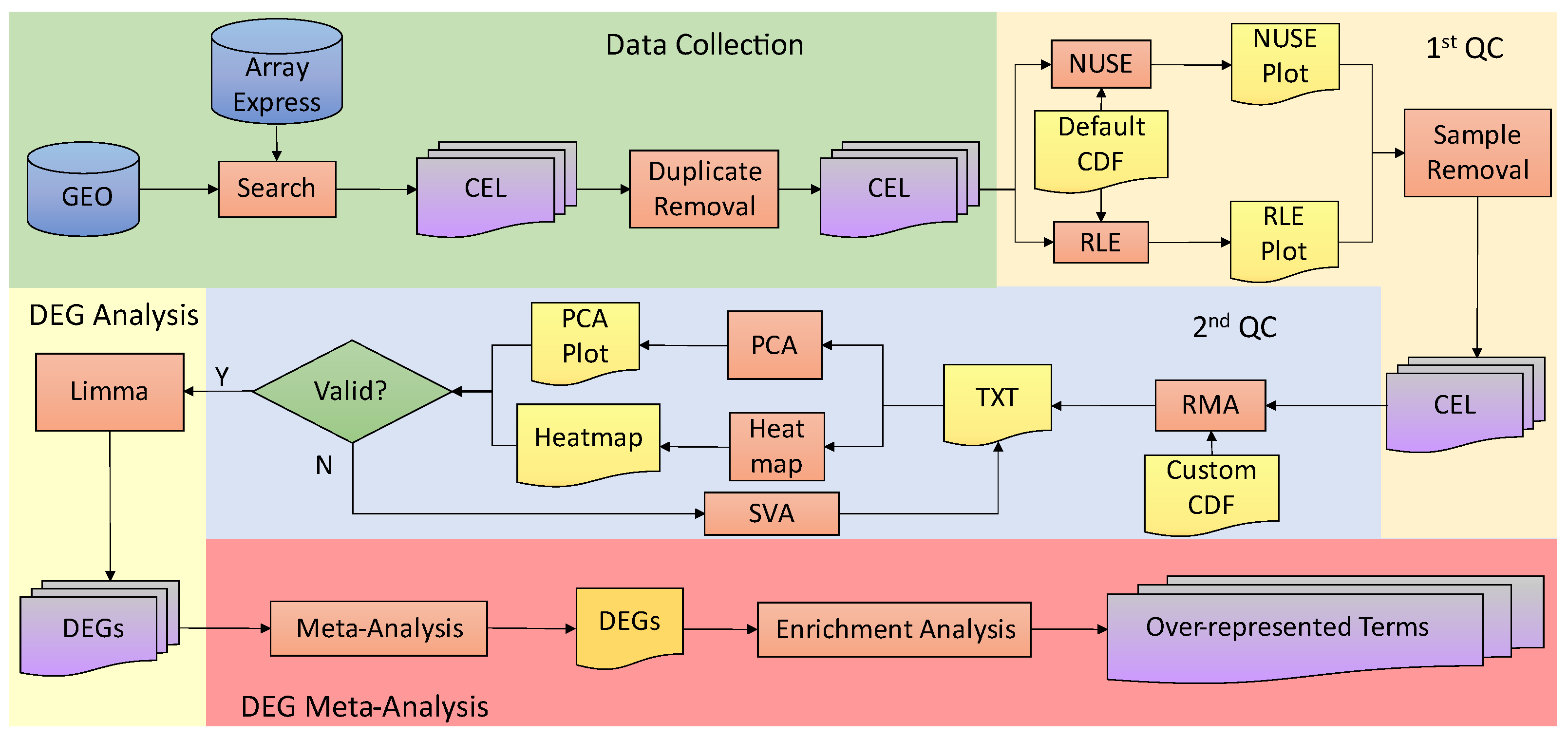 Biology 15 00345 g001