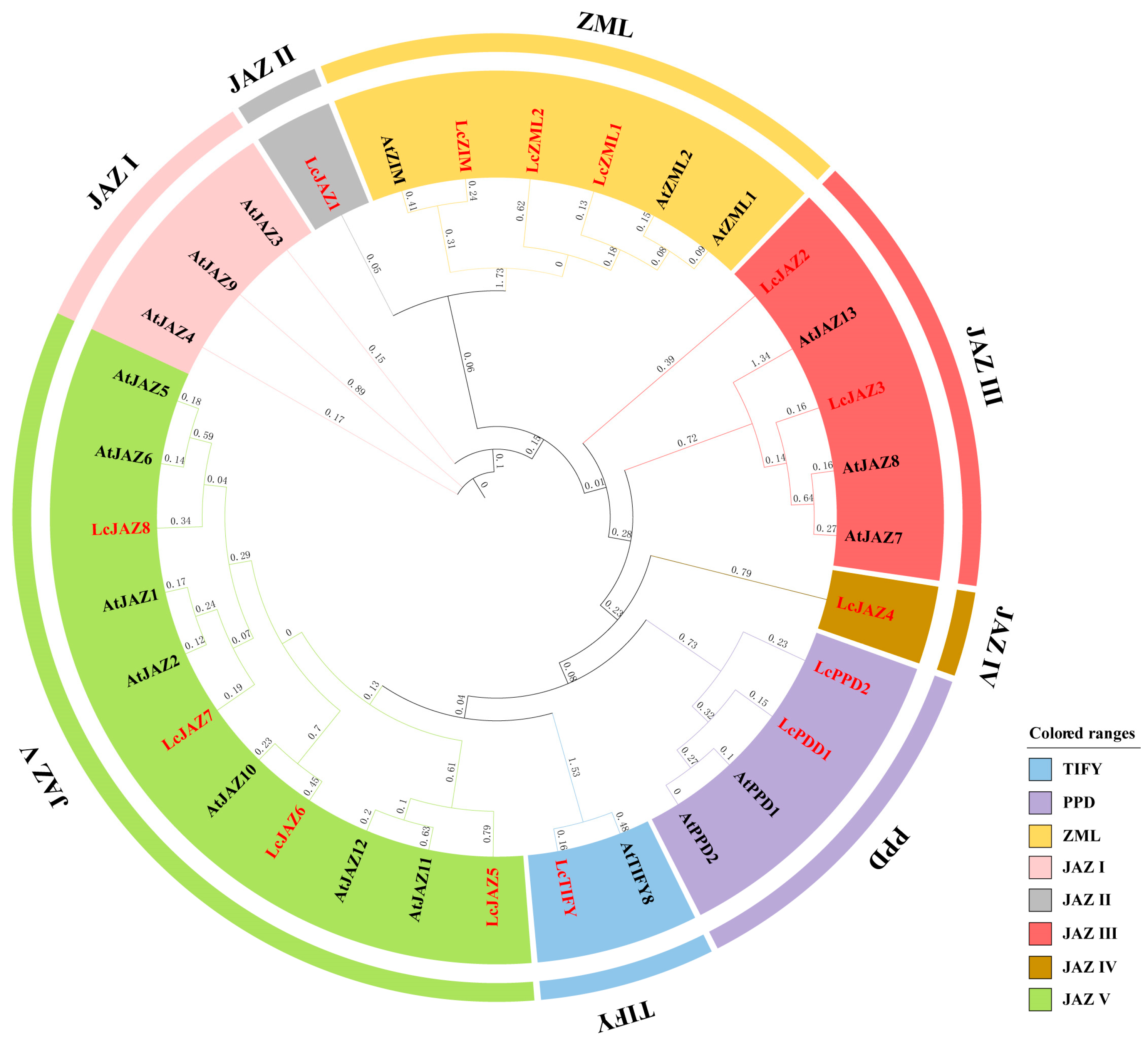 Biology 15 00445 g001 Biology 15 00445 g001