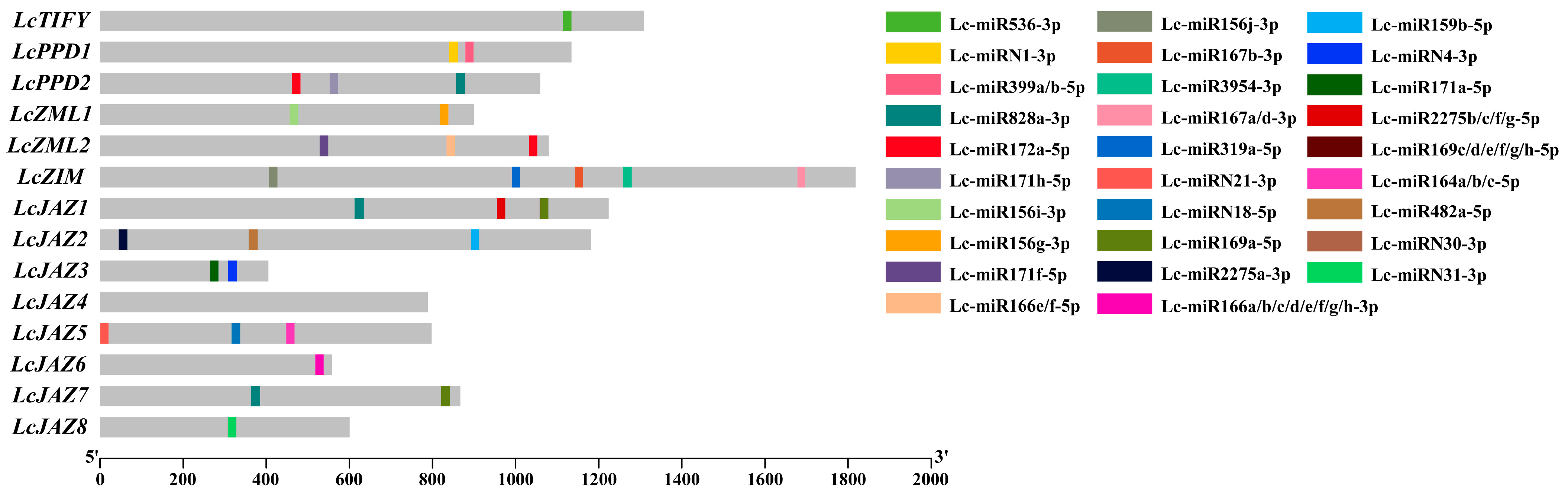 Biology 15 00445 g003 Biology 15 00445 g003