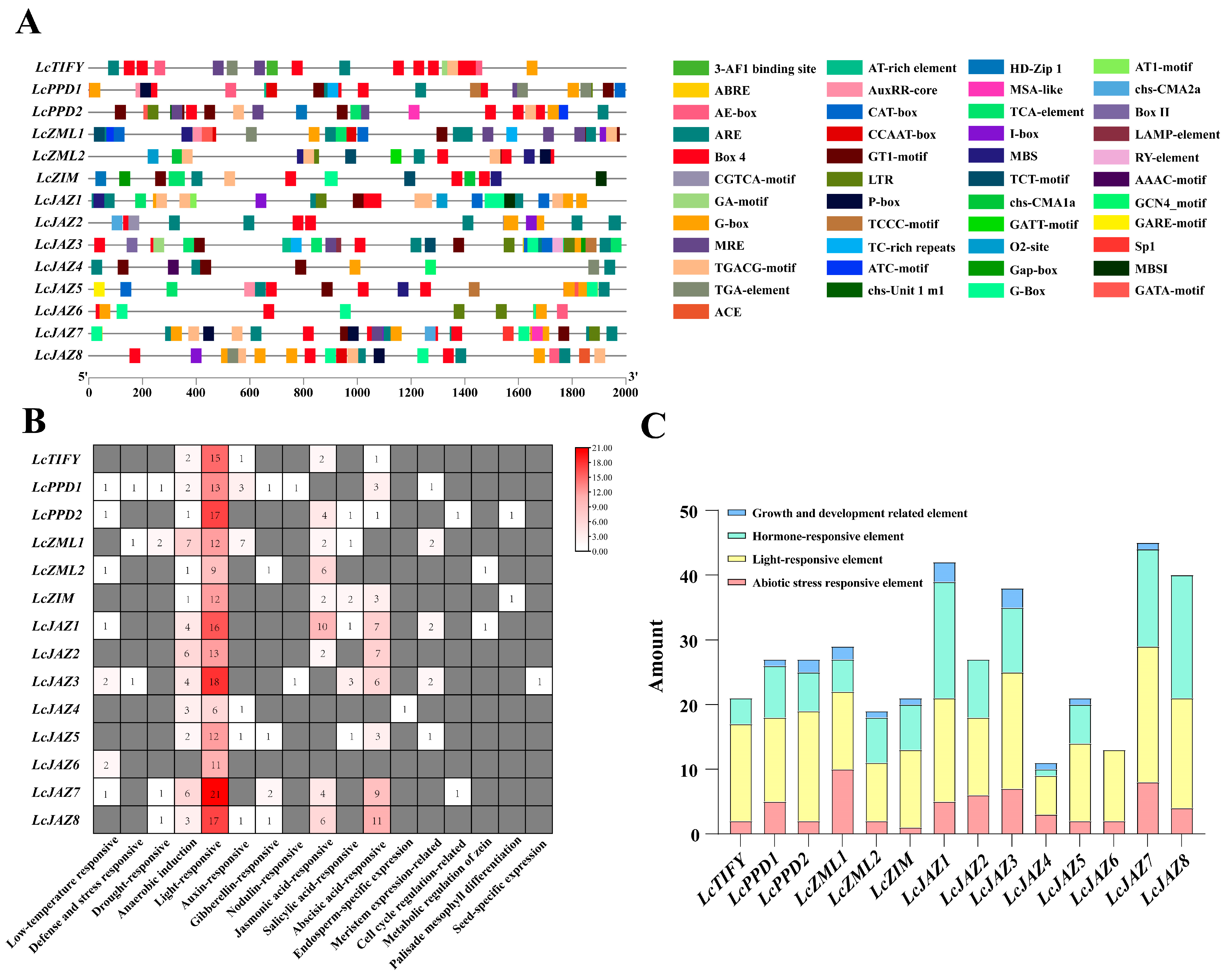 Biology 15 00445 g004 Biology 15 00445 g004