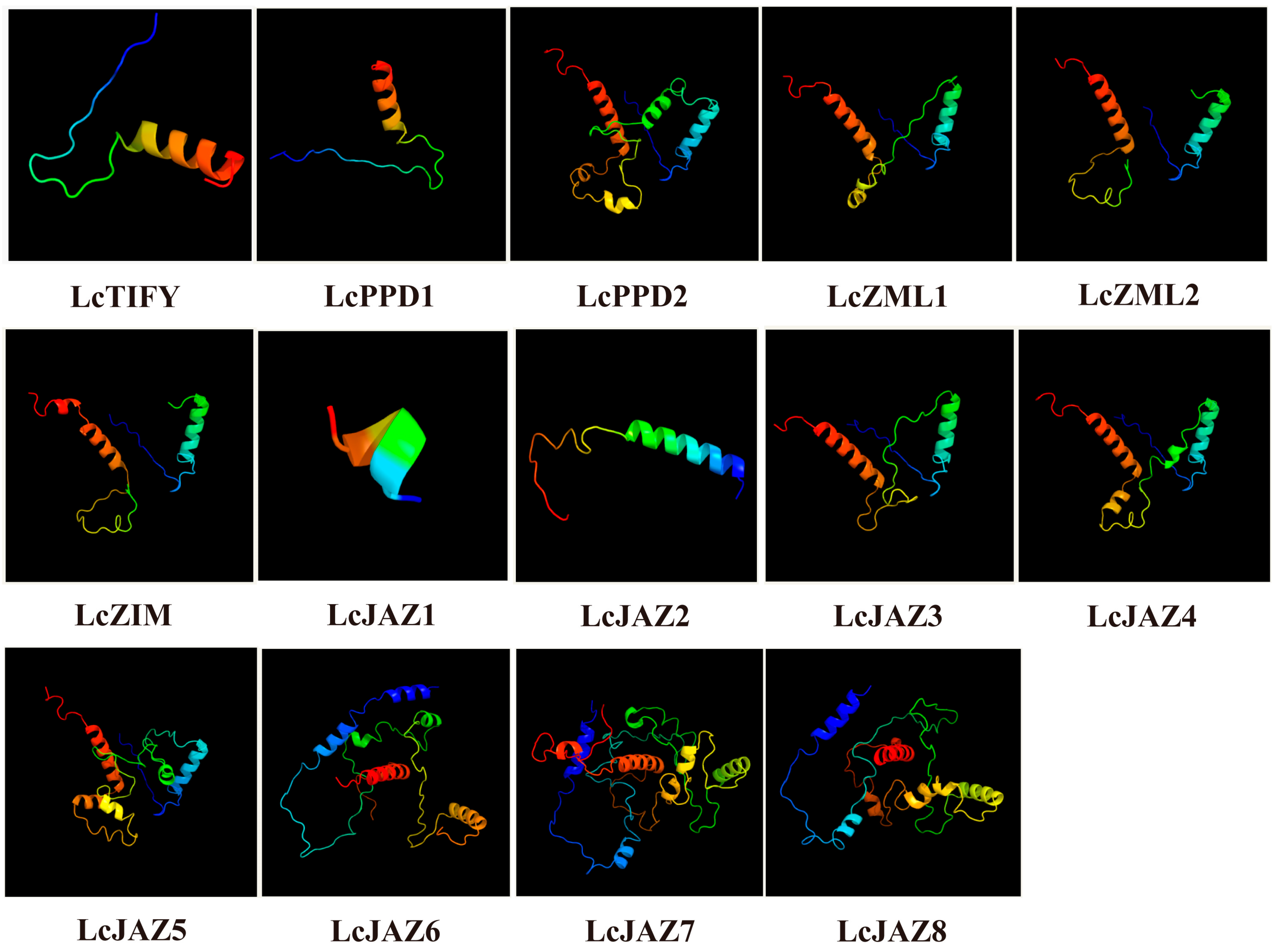 Biology 15 00445 g005 Biology 15 00445 g005