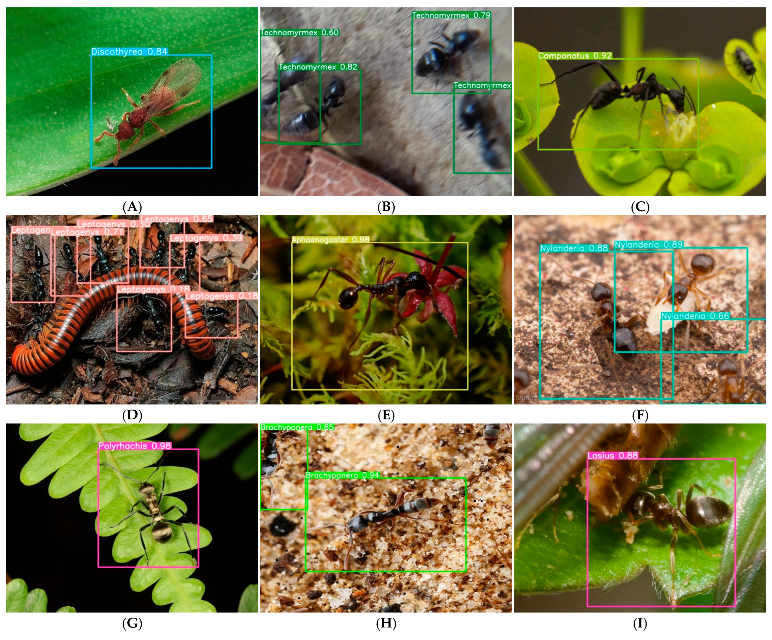 Biology 15 00470 g006