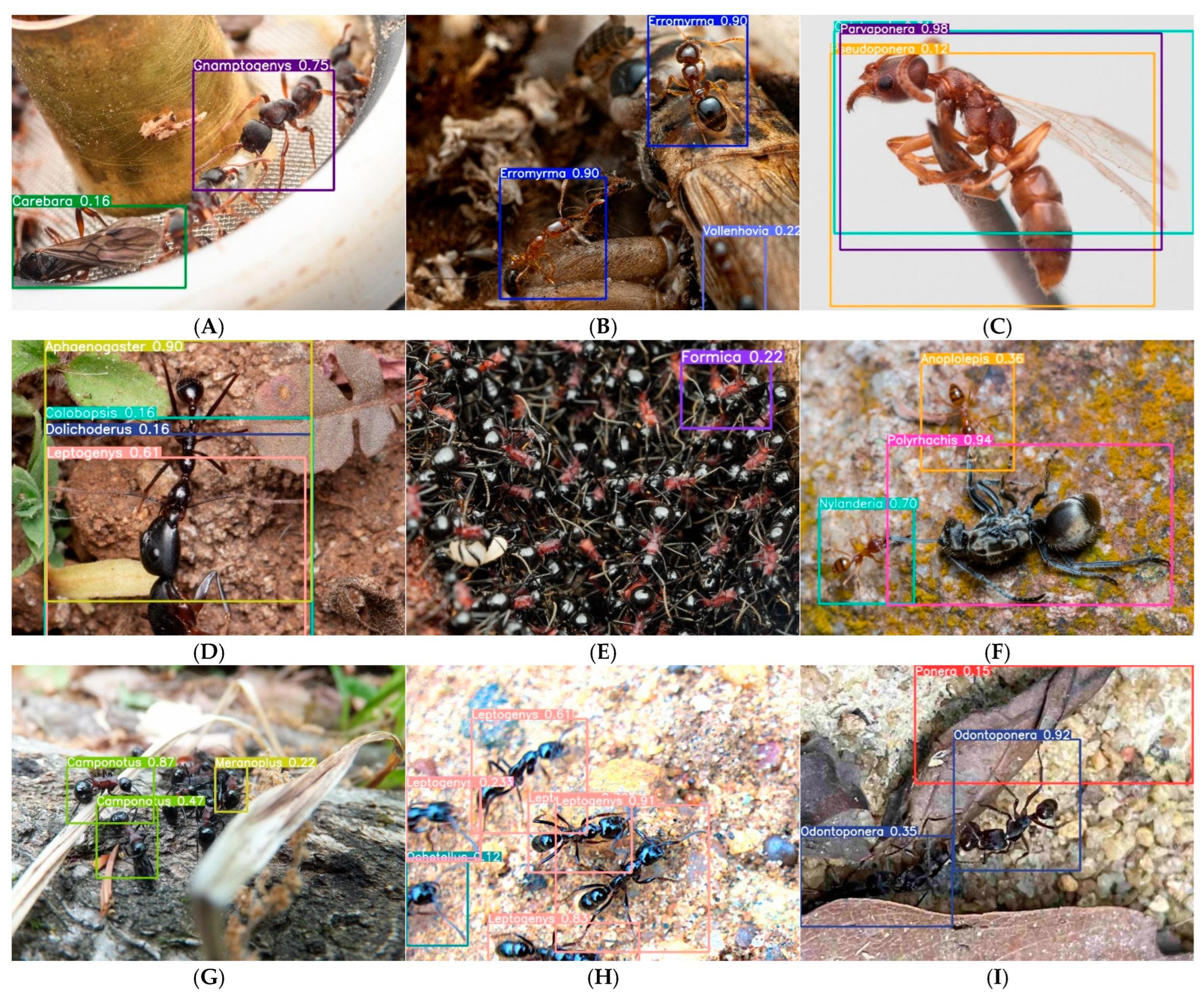 Biology 15 00470 g007