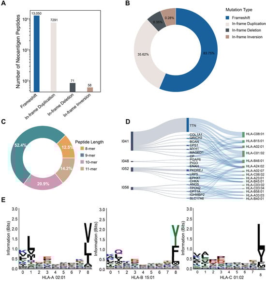 SVNeoPP: A Workflow for Structural-Variant-Derived Neoantigen ...