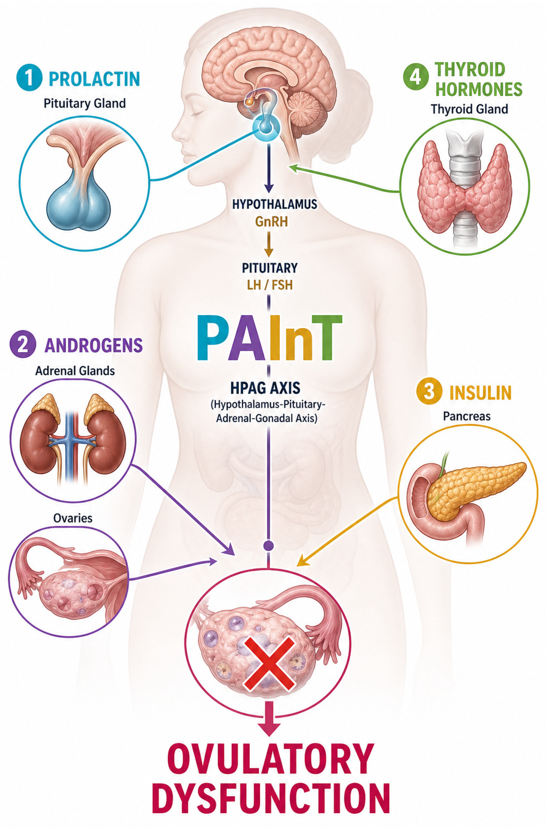 Biology 15 01041 g001 Biology 15 01041 g001